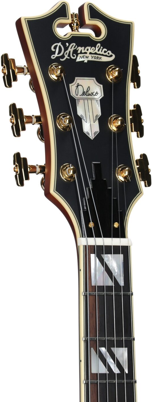 D'Angelico Deluxe 59 Hollowbody Electric Guitar 4 D'Angelico Deluxe 59 Hollowbody Electric Guitar