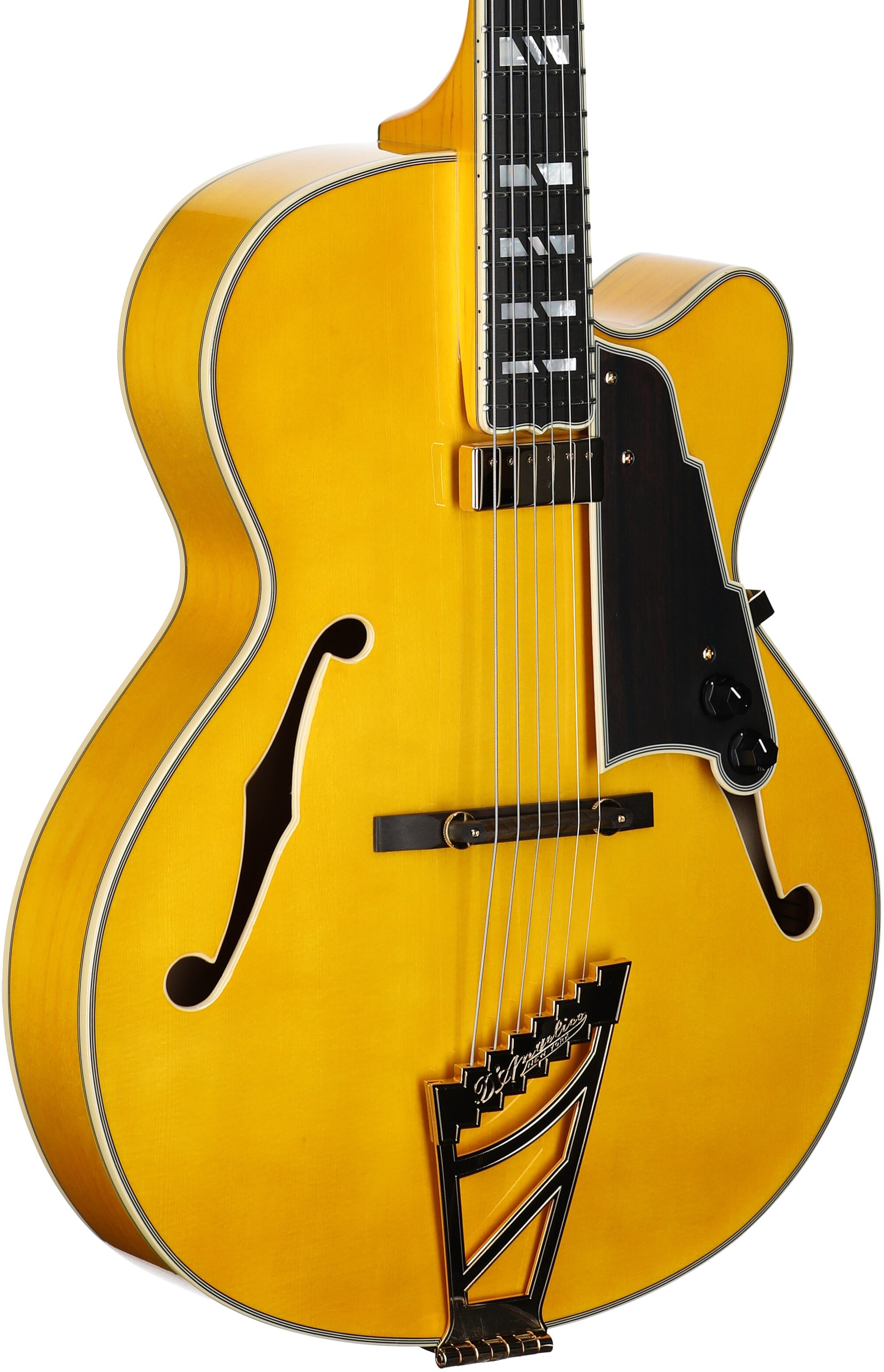 D'Angelico Excel 16 Hollowbody Electric Guitar (with Case) 1 D'Angelico Excel 16 Hollowbody Electric Guitar (with Case)