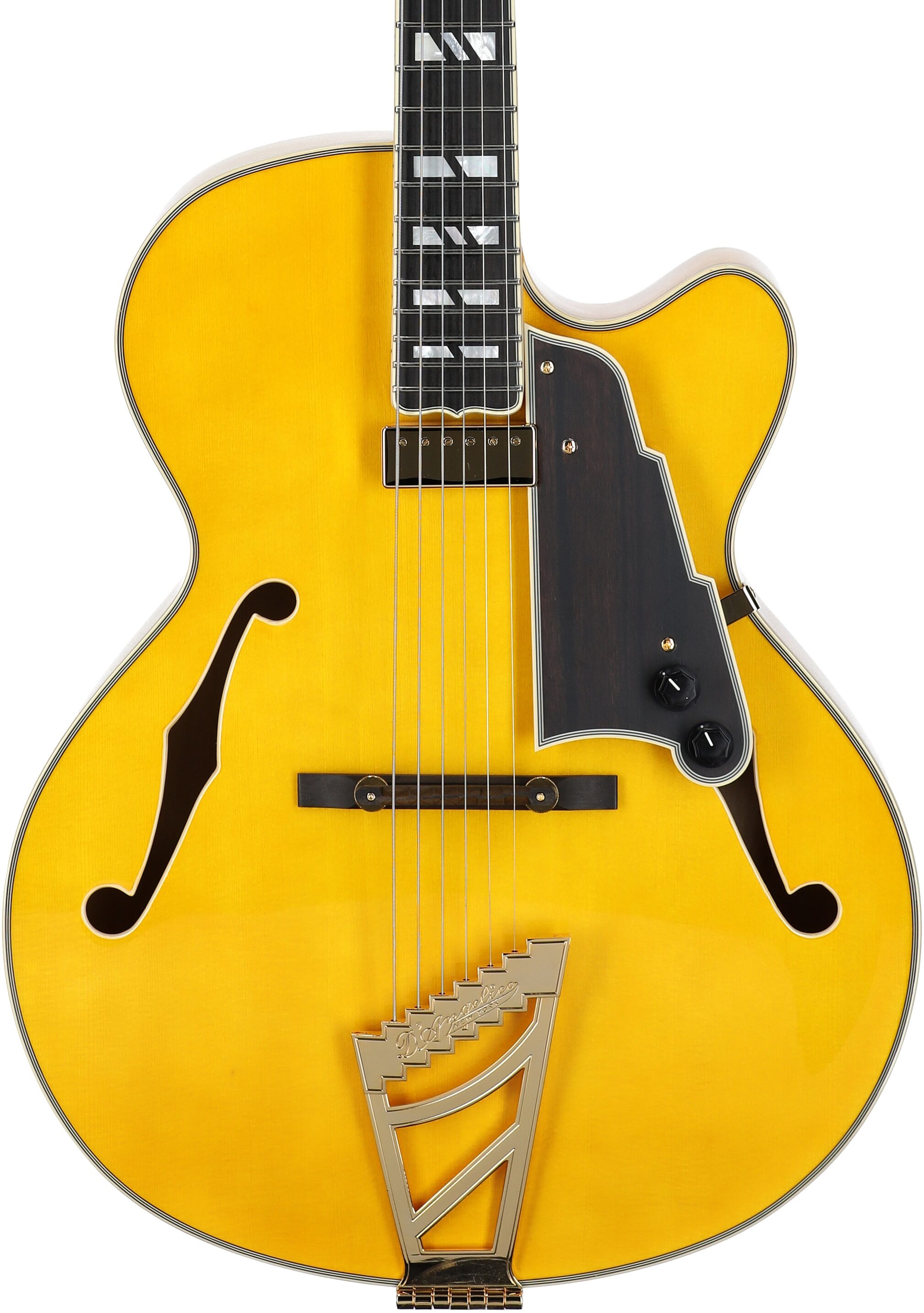 D'Angelico Excel 16 Hollowbody Electric Guitar (with Case) 5 D'Angelico Excel 16 Hollowbody Electric Guitar (with Case)