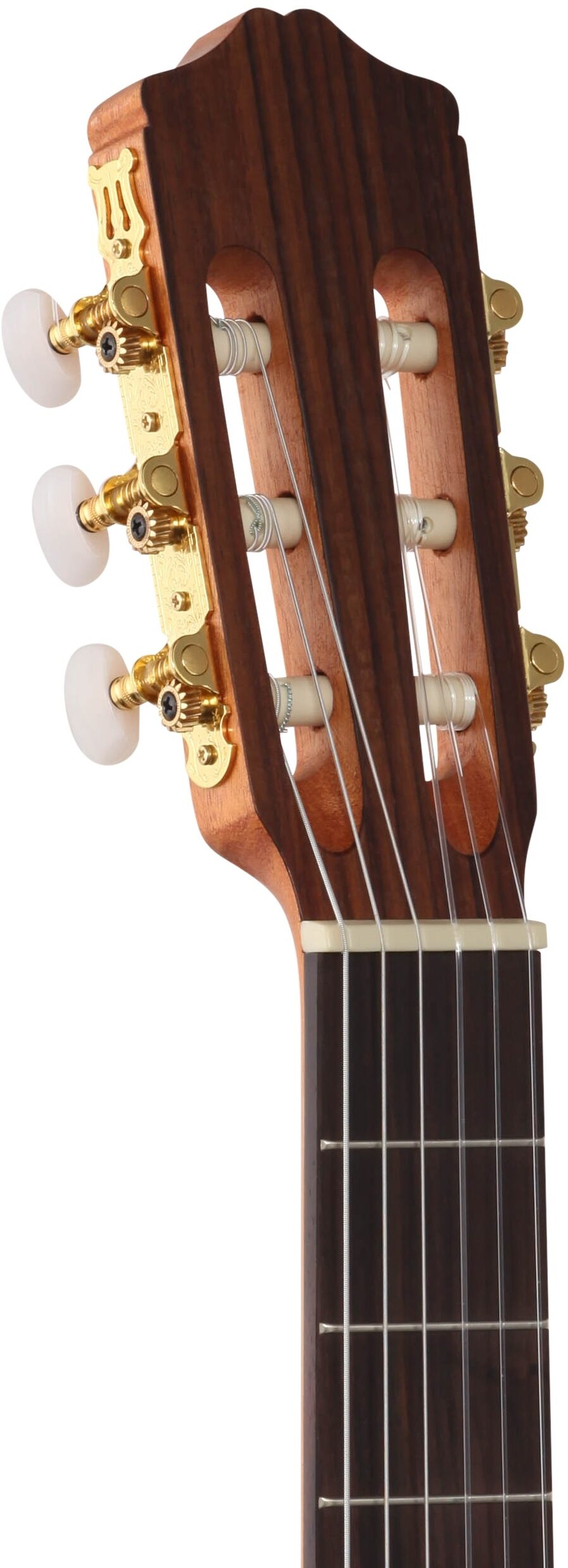 Cordoba Protege C1M Classical Acoustic Guitar 4 Cordoba Protege C1M Classical Acoustic Guitar