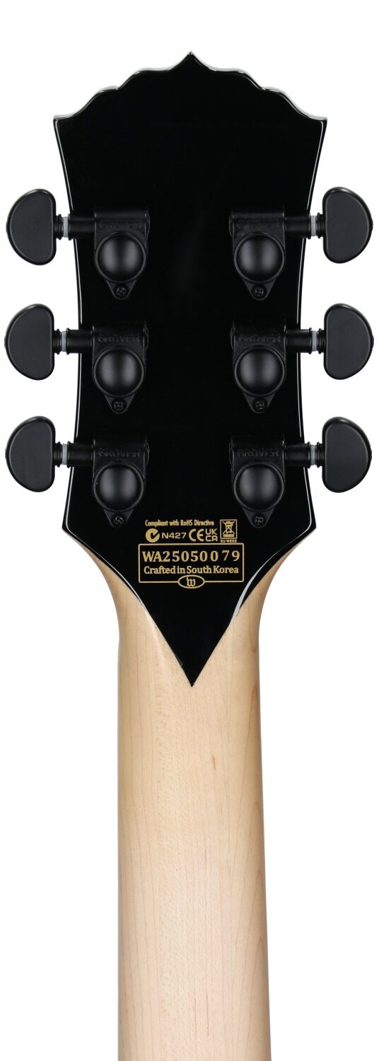 Wylde Audio Barbarian Carveworks Electric Guitar 8 Wylde Audio Barbarian Carveworks Electric Guitar