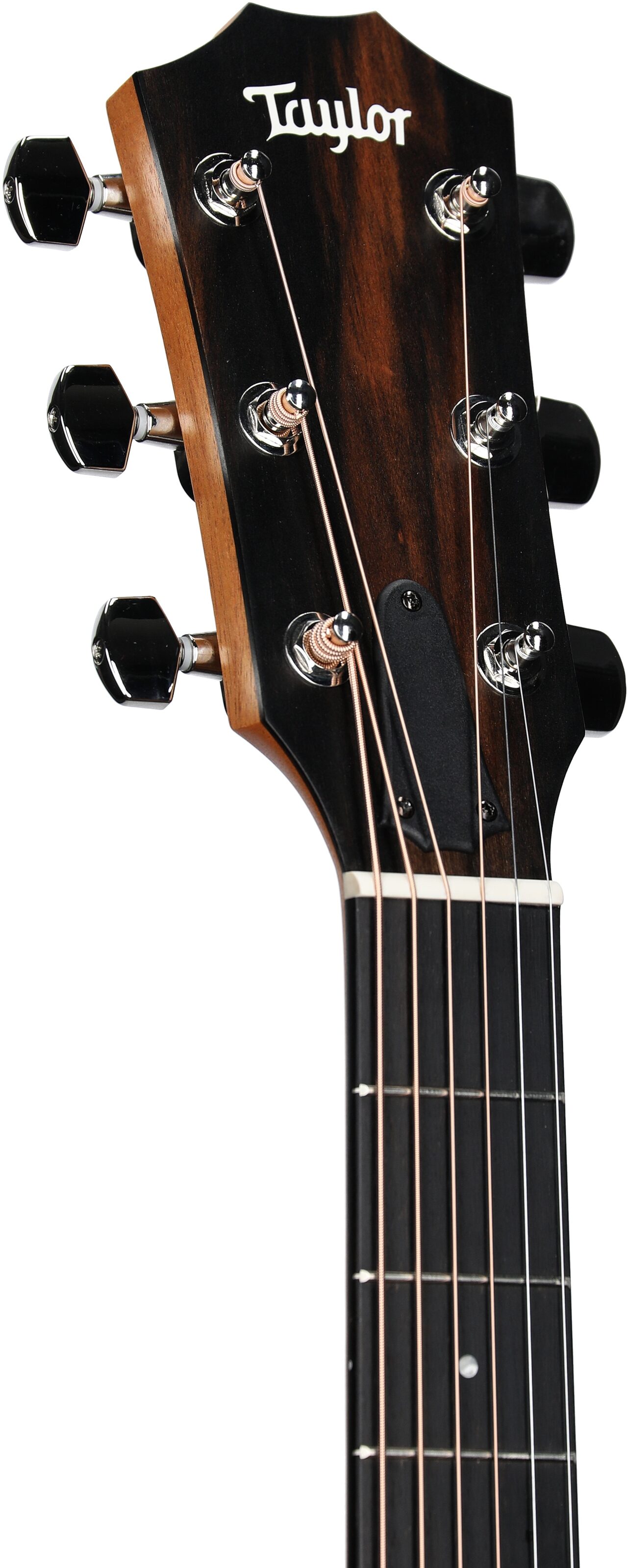 Taylor 210ce Plus Dreadnought Acoustic-Electric Guitar (with Case) 4 Taylor 210ce Plus Dreadnought Acoustic-Electric Guitar (with Case)