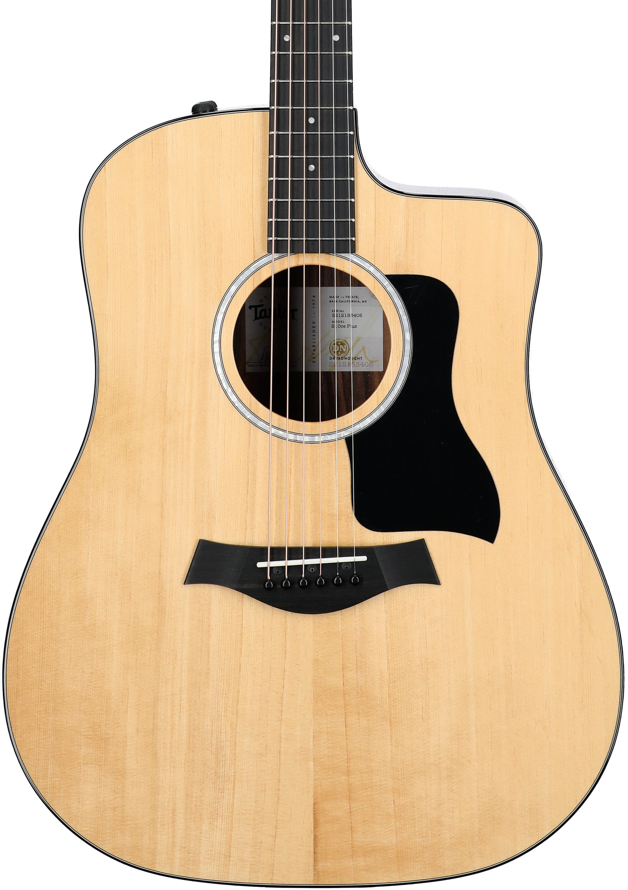 Taylor 210ce Plus Dreadnought Acoustic-Electric Guitar (with Case) 5 Taylor 210ce Plus Dreadnought Acoustic-Electric Guitar (with Case)