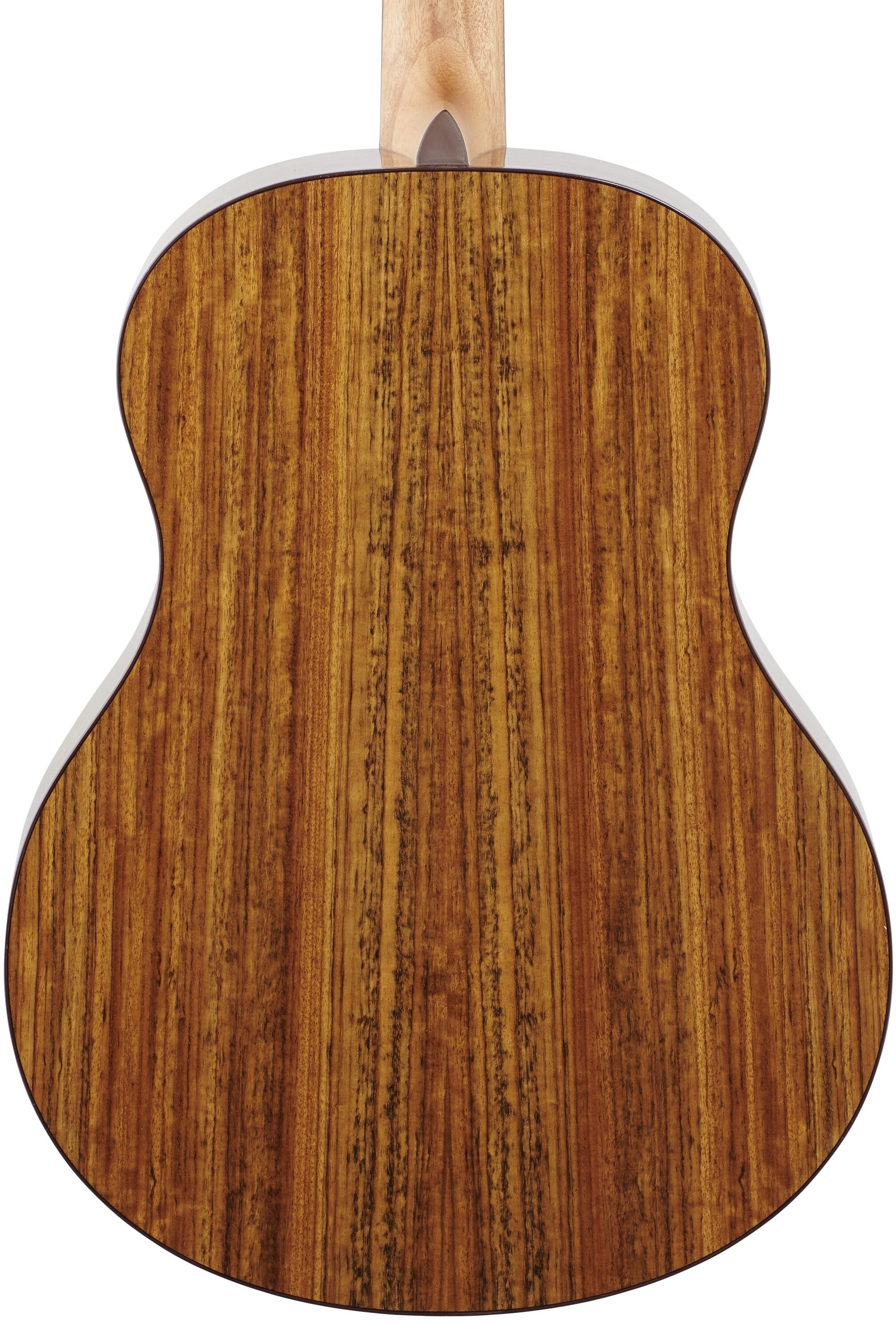 Washburn Bella Tono Novo S9 Acoustic Guitar 7 Washburn Bella Tono Novo S9 Acoustic Guitar