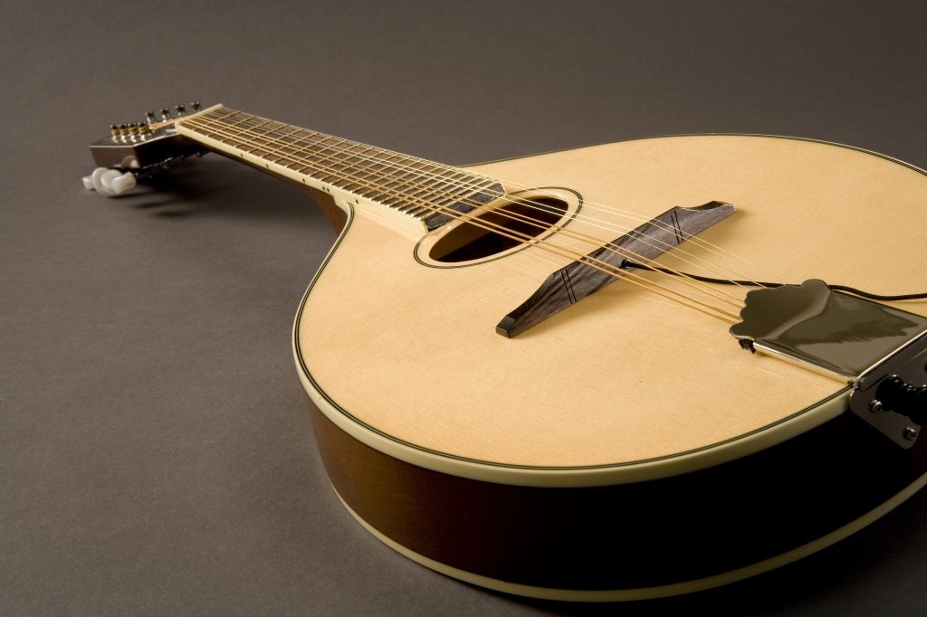 Fishman M400 Nashville Series Flat-Top Mandolin Pickup 2 Fishman M400 Nashville Series Flat-Top Mandolin Pickup