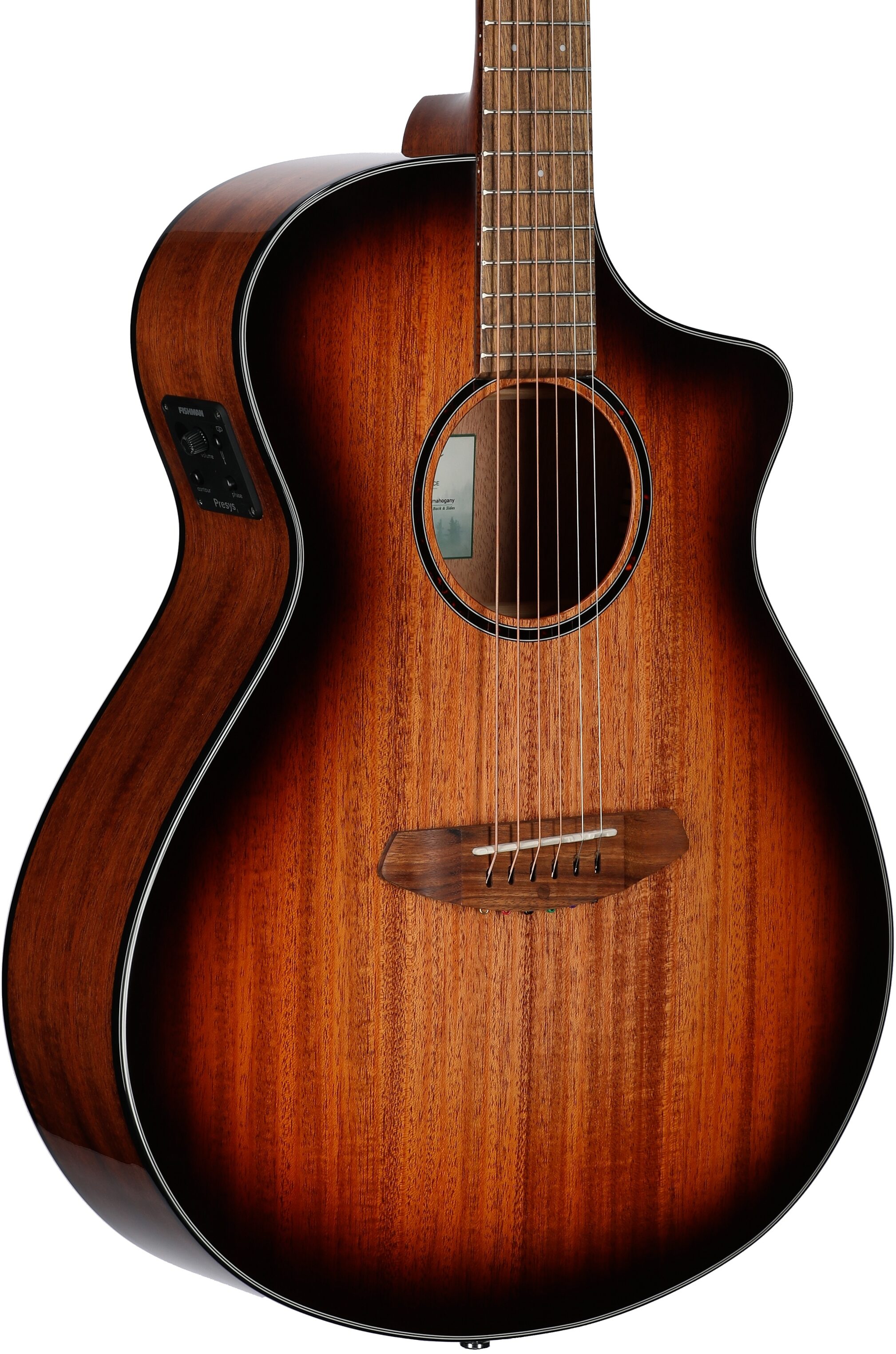 Breedlove ECO Discovery S Concert CE Mahogany Acoustic-Electric Guitar 1 Breedlove ECO Discovery S Concert CE Mahogany Acoustic-Electric Guitar