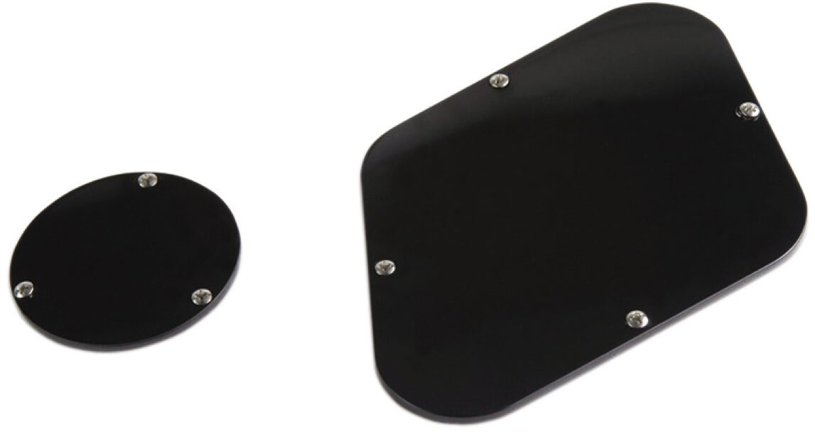 Gibson Backplate Combo 2 Gibson Backplate Combo