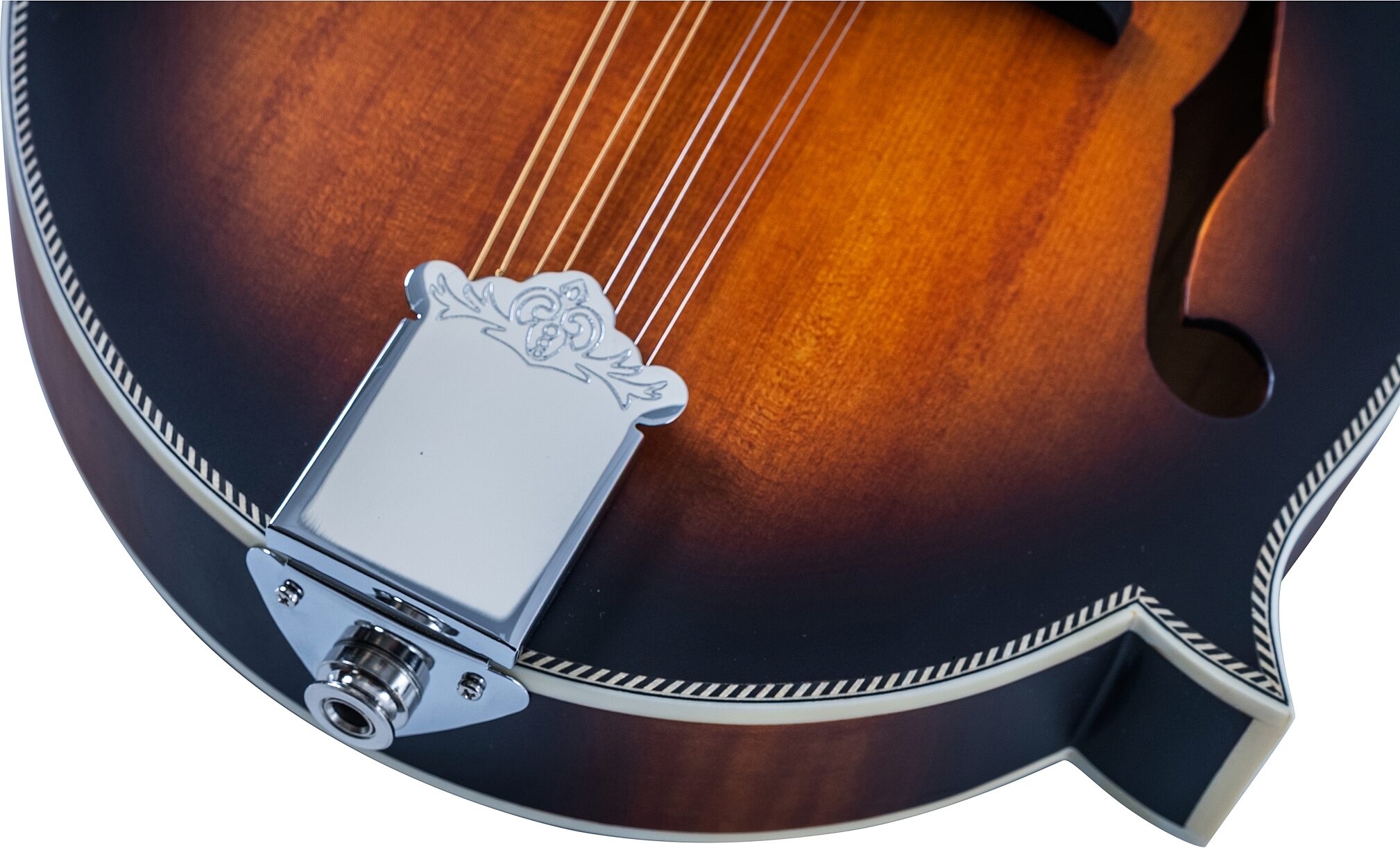 Washburn M3SEBRK F-Style Mandolin (with Gig Bag)