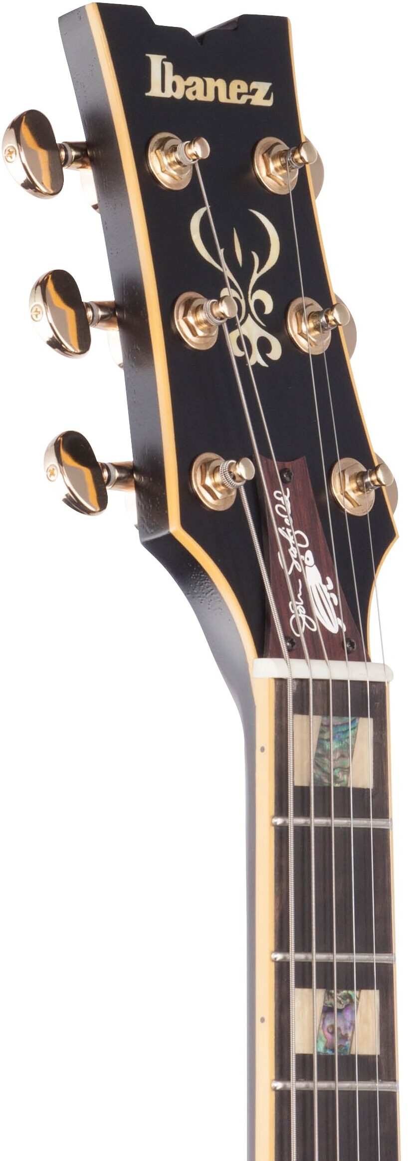 Ibanez John Scofield JSM20 Semi-Hollowbody Electric Guitar (with Case) 5 Ibanez John Scofield JSM20 Semi-Hollowbody Electric Guitar (with Case)