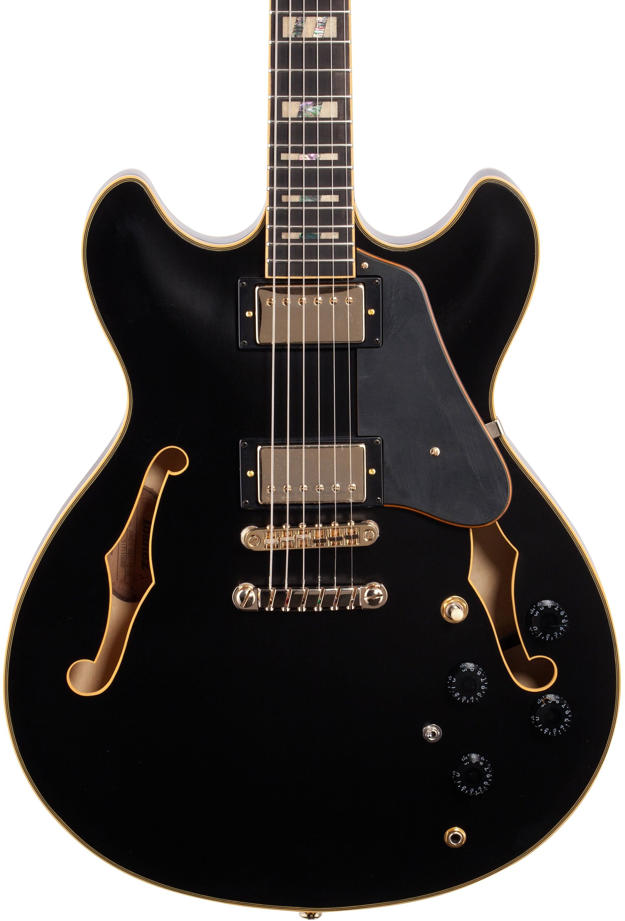 Ibanez John Scofield JSM20 Semi-Hollowbody Electric Guitar (with Case) 1 Ibanez John Scofield JSM20 Semi-Hollowbody Electric Guitar (with Case)
