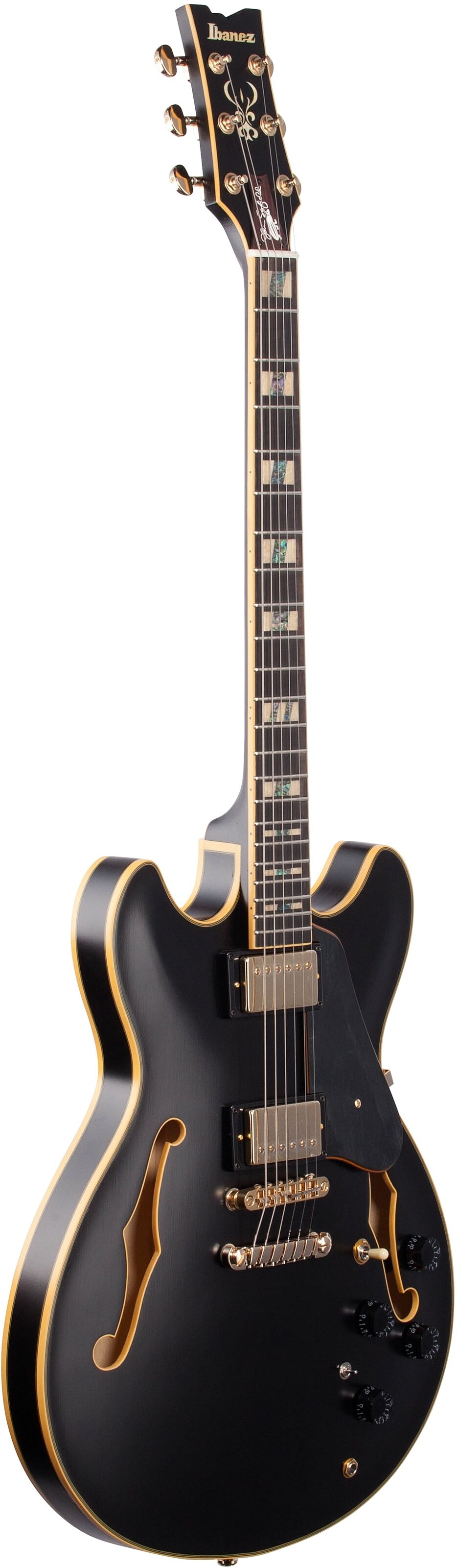Ibanez John Scofield JSM20 Semi-Hollowbody Electric Guitar (with Case) 6 Ibanez John Scofield JSM20 Semi-Hollowbody Electric Guitar (with Case)