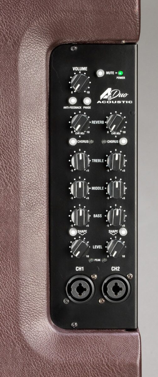 Laney A-DUO Acoustic Guitar Combo Amplifier (120 Watts, 2x8") 4 Laney A-DUO Acoustic Guitar Combo Amplifier (120 Watts, 2x8")