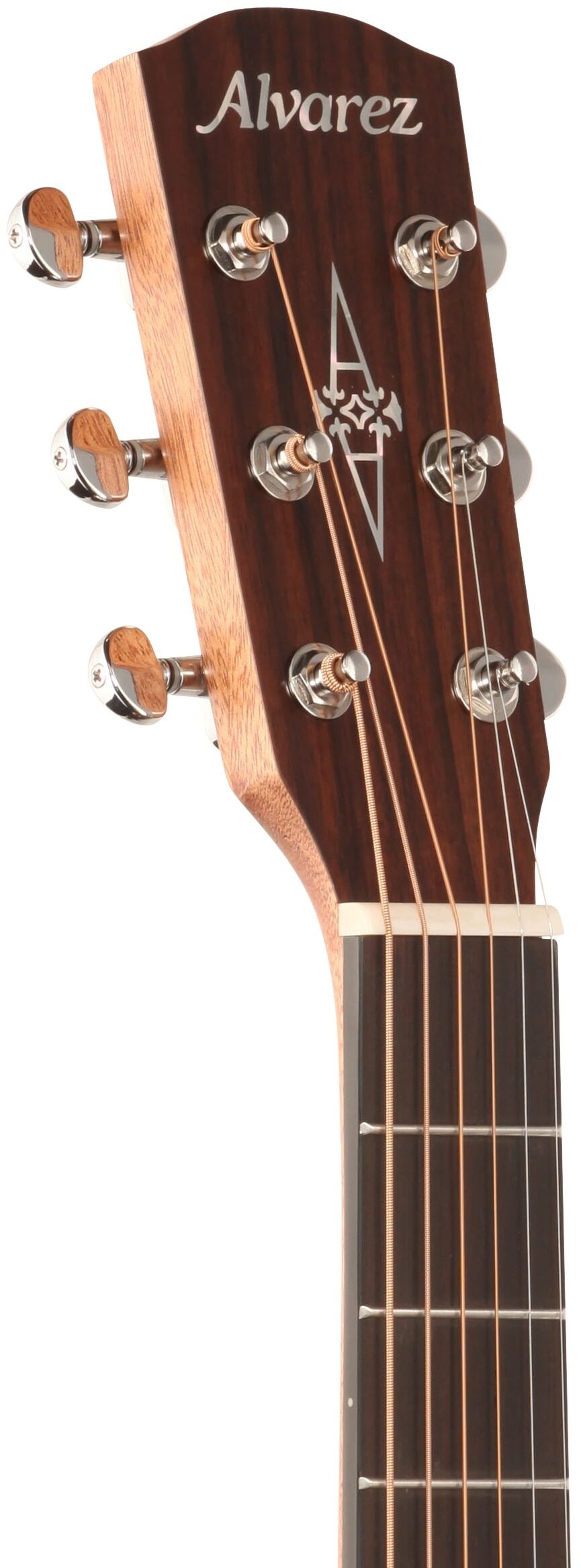 Alvarez Delta DeLite Grand Concert Acoustic Guitar (with Gig Bag) 4 Alvarez Delta DeLite Grand Concert Acoustic Guitar (with Gig Bag)