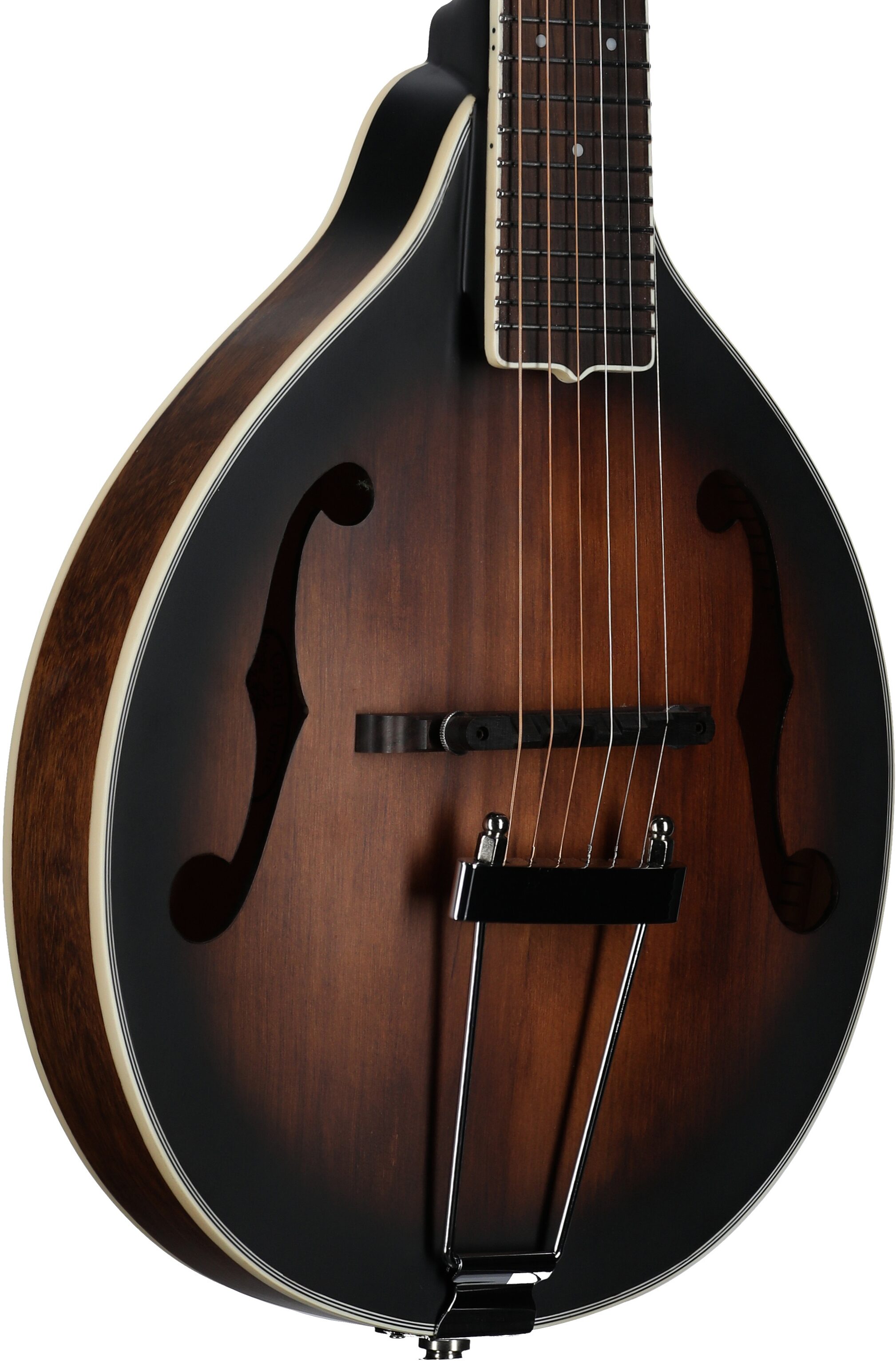 Gold Tone A-6 Acoustic-Electric Mando-Guitar (with Gig Bag)
