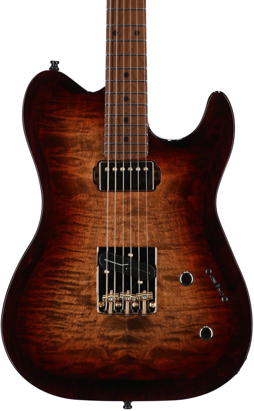 Godin Artisan TC Electric Guitar, Maple Fingerboard (with Case) 5 Godin Artisan TC Electric Guitar, Maple Fingerboard (with Case)