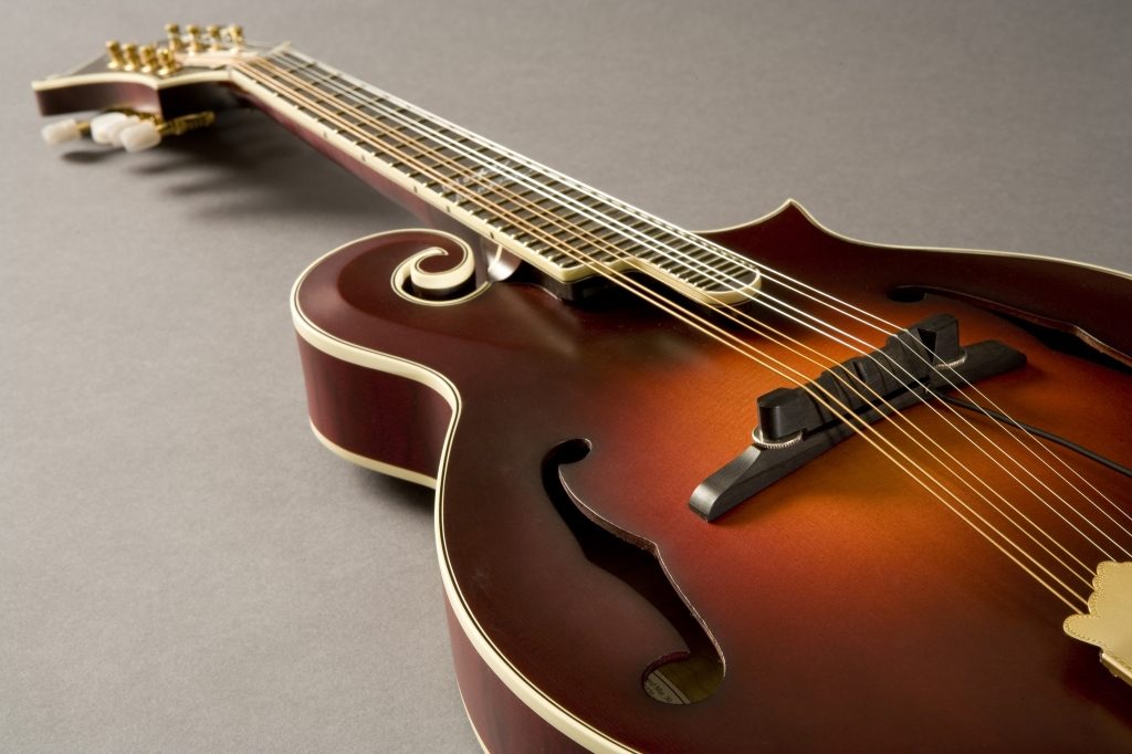 Fishman M300 Nashville Series Archtop Mandolin Pickup 2 Fishman M300 Nashville Series Archtop Mandolin Pickup