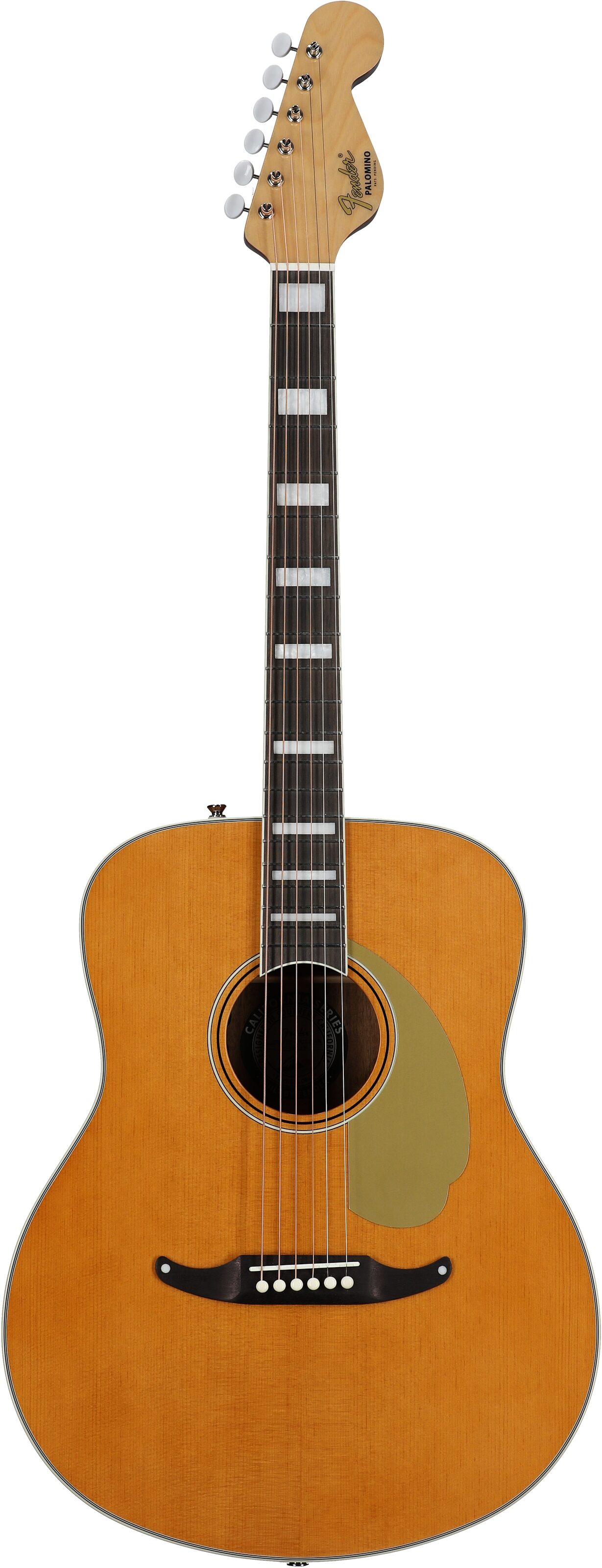 Fender Palomino Vintage Acoustic-Electric Guitar (with Case) 2 Fender Palomino Vintage Acoustic-Electric Guitar (with Case)