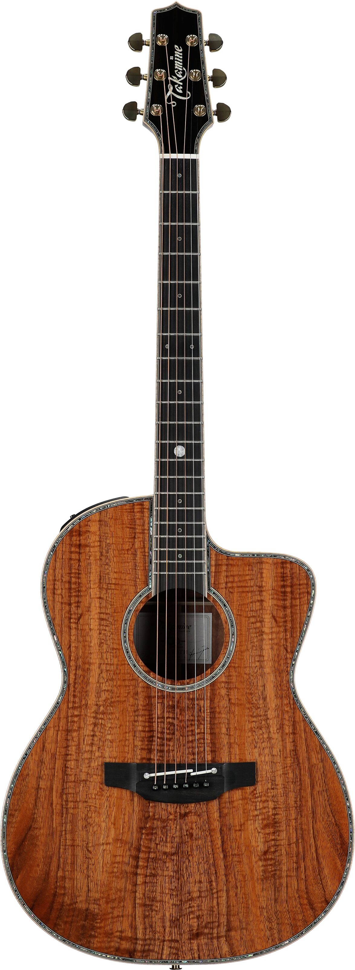 Takamine The 60th Anniversary Acoustic-Electric Guitar (with Case) 2 Takamine The 60th Anniversary Acoustic-Electric Guitar (with Case)