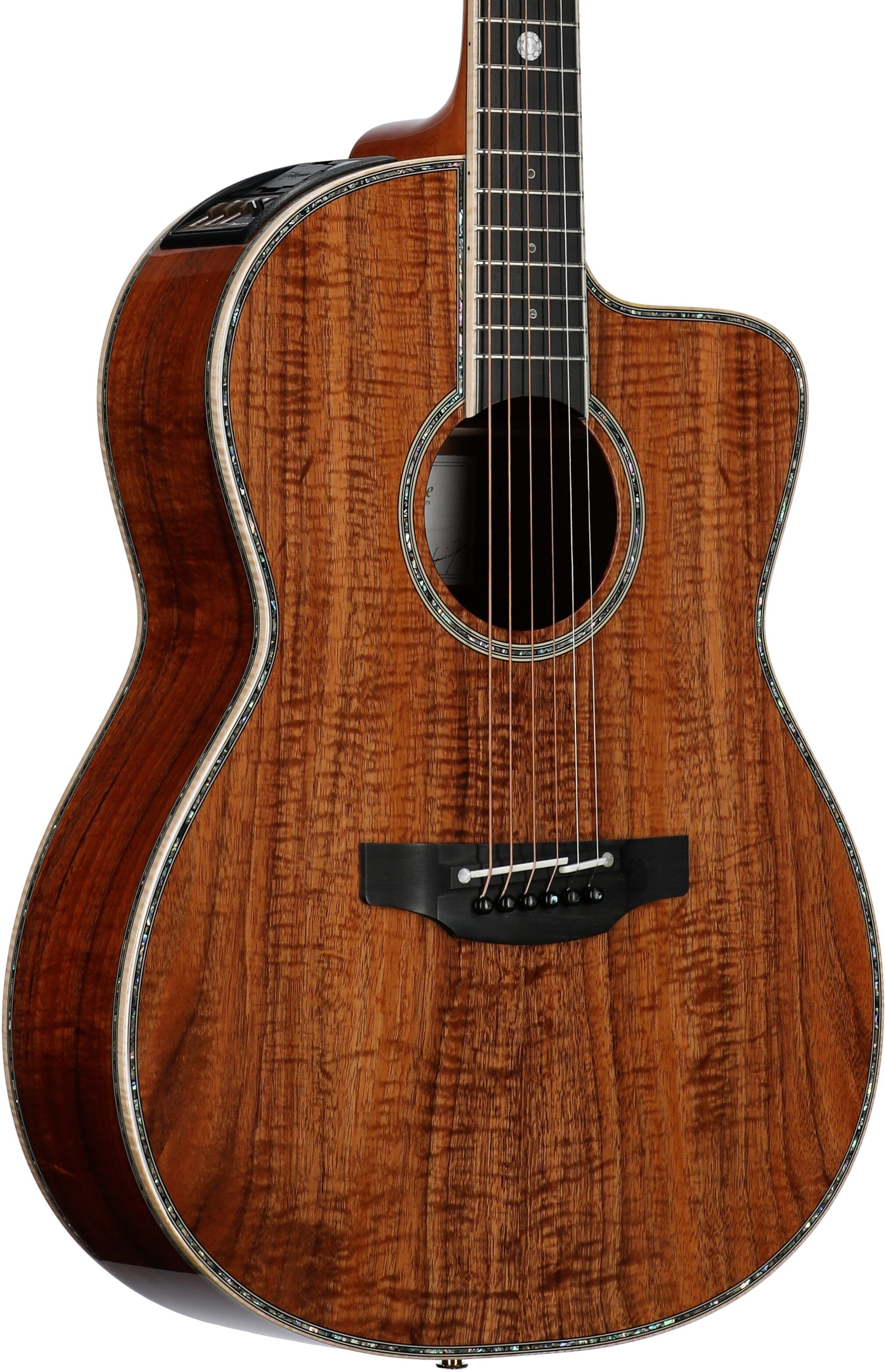 Takamine The 60th Anniversary Acoustic-Electric Guitar (with Case) 1 Takamine The 60th Anniversary Acoustic-Electric Guitar (with Case)