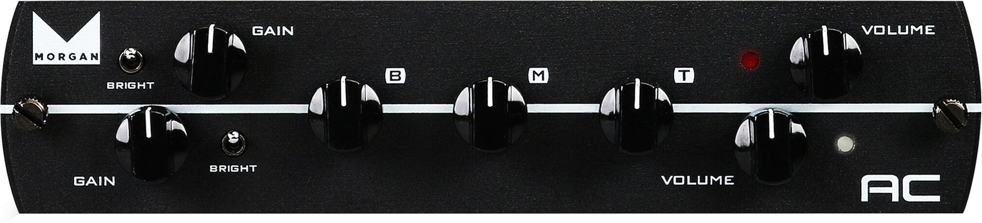 Synergy Morgan AC Preamp Module