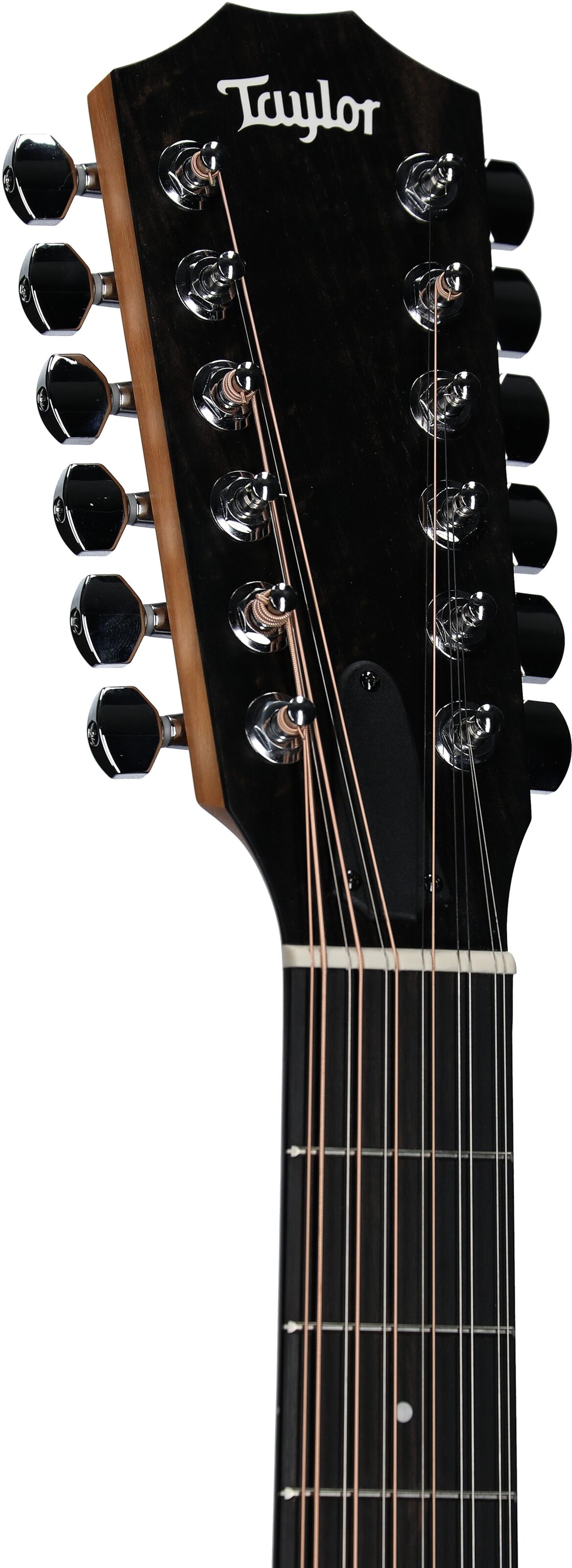 Taylor 150ce Dreadnought Acoustic-Electric Guitar, 12-String (with Gig Bag) 4 Taylor 150ce Dreadnought Acoustic-Electric Guitar, 12-String (with Gig Bag)