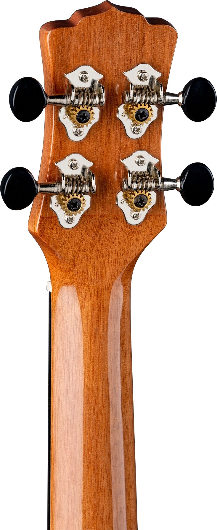 Luna Vista Bear Concert Acoustic-Electric Ukulele (with Gig Bag) 6 Luna Vista Bear Concert Acoustic-Electric Ukulele (with Gig Bag)