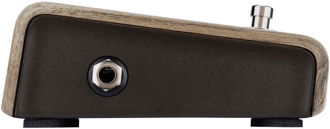 LR Baggs Align Active DI Pedal 5 LR Baggs Align Active DI Pedal