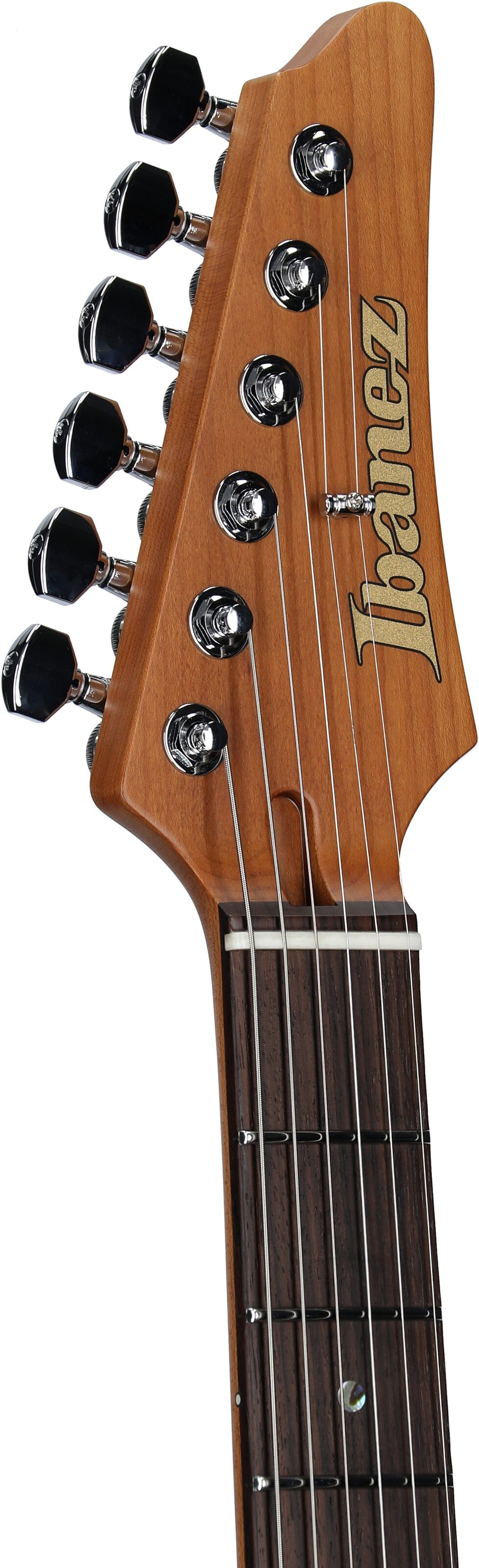Ibanez MMN-1 Martin Miller Electric Guitar (with Case) 5 Ibanez MMN-1 Martin Miller Electric Guitar (with Case)