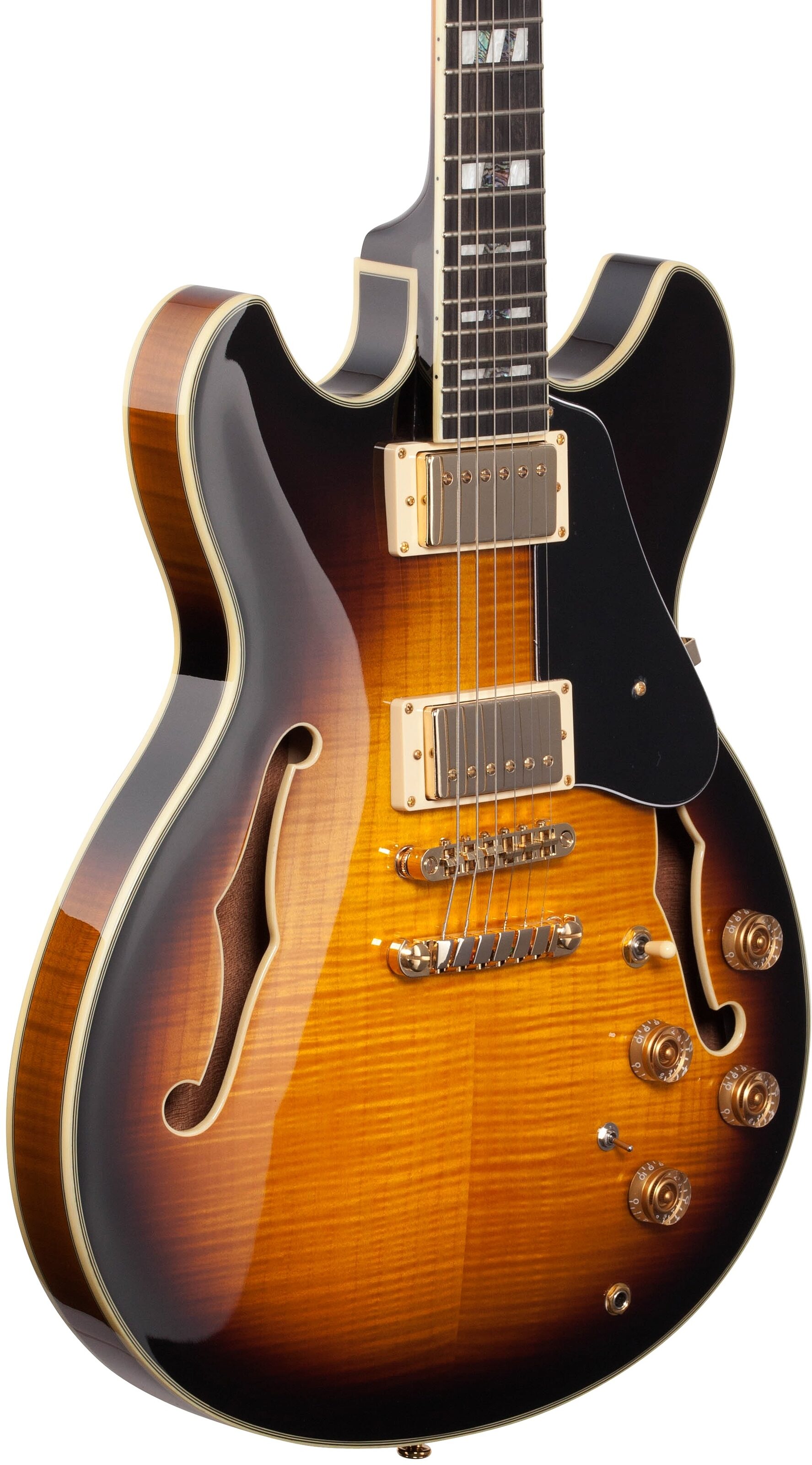 Ibanez JSM10 Semi-Hollowbody Electric Guitar (with Case) 3 Ibanez JSM10 Semi-Hollowbody Electric Guitar (with Case)