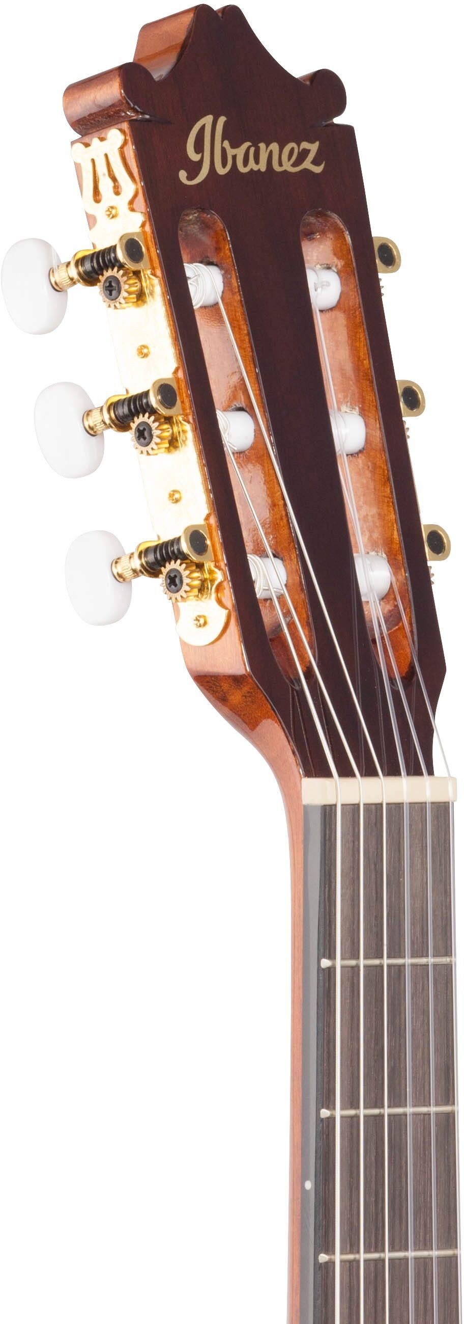 Ibanez GA5TCE Classical Cutaway Acoustic-Electric Guitar 5 Ibanez GA5TCE Classical Cutaway Acoustic-Electric Guitar