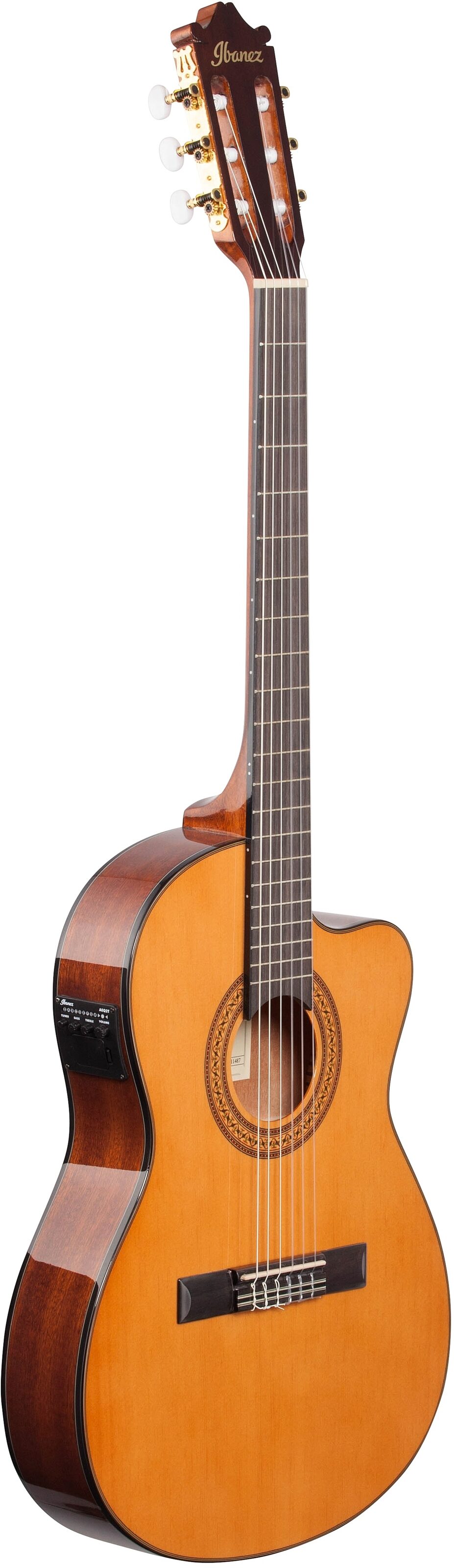 Ibanez GA5TCE Classical Cutaway Acoustic-Electric Guitar 6 Ibanez GA5TCE Classical Cutaway Acoustic-Electric Guitar