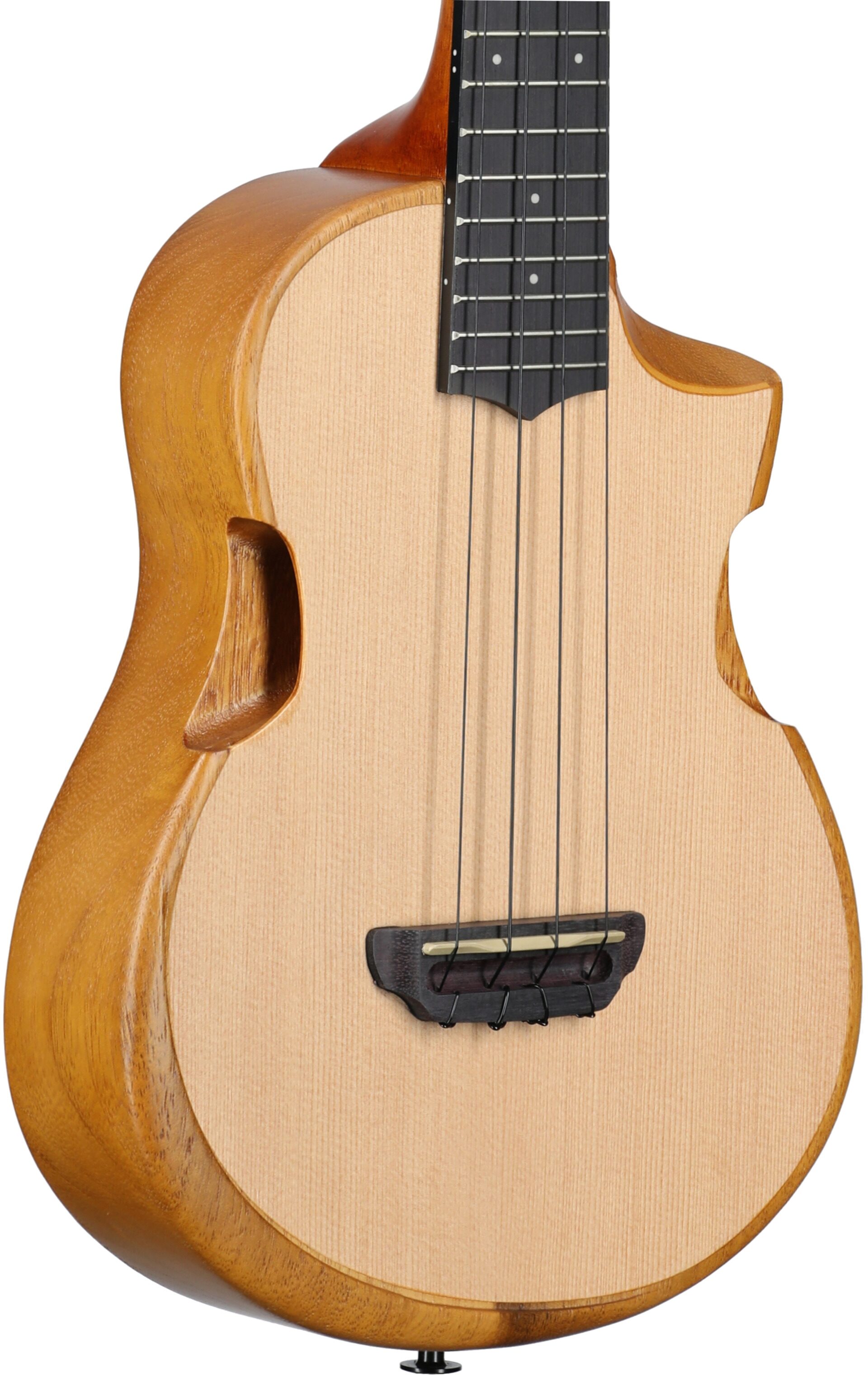 Ibanez AUT10 Tenor Ukulele (with Gig Bag)