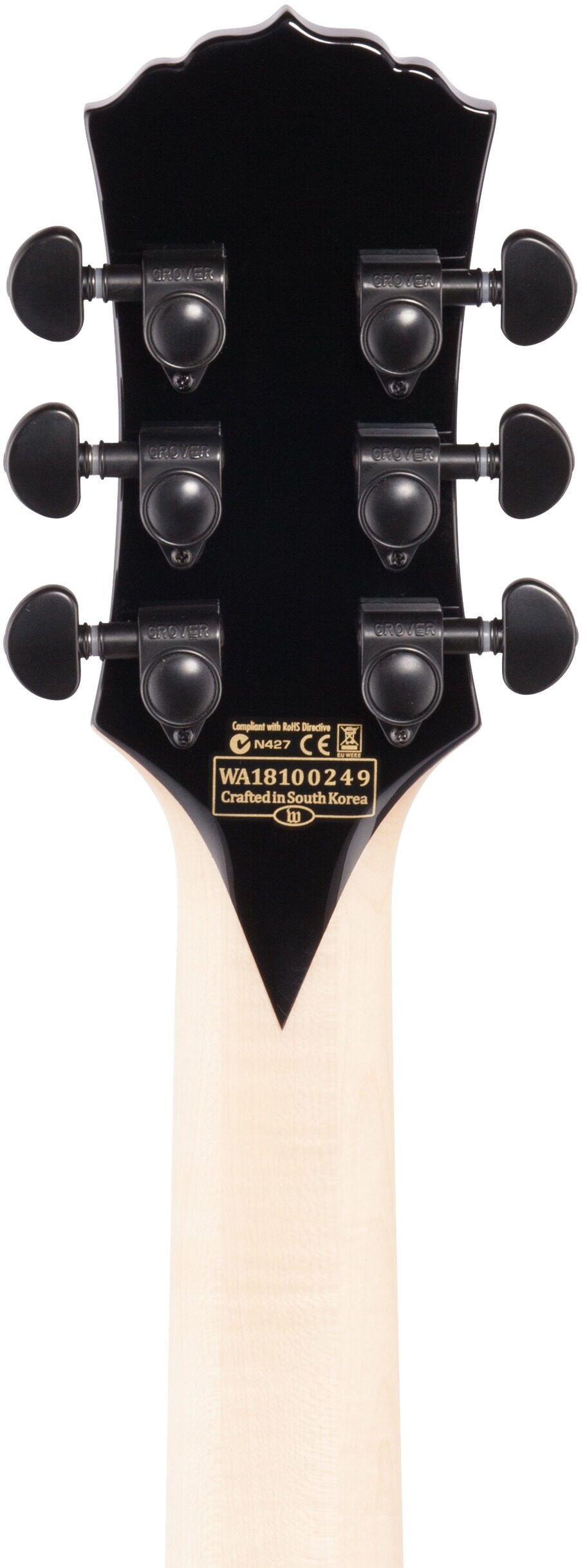 Wylde Audio Barbarian Rawtop Electric Guitar 8 Wylde Audio Barbarian Rawtop Electric Guitar