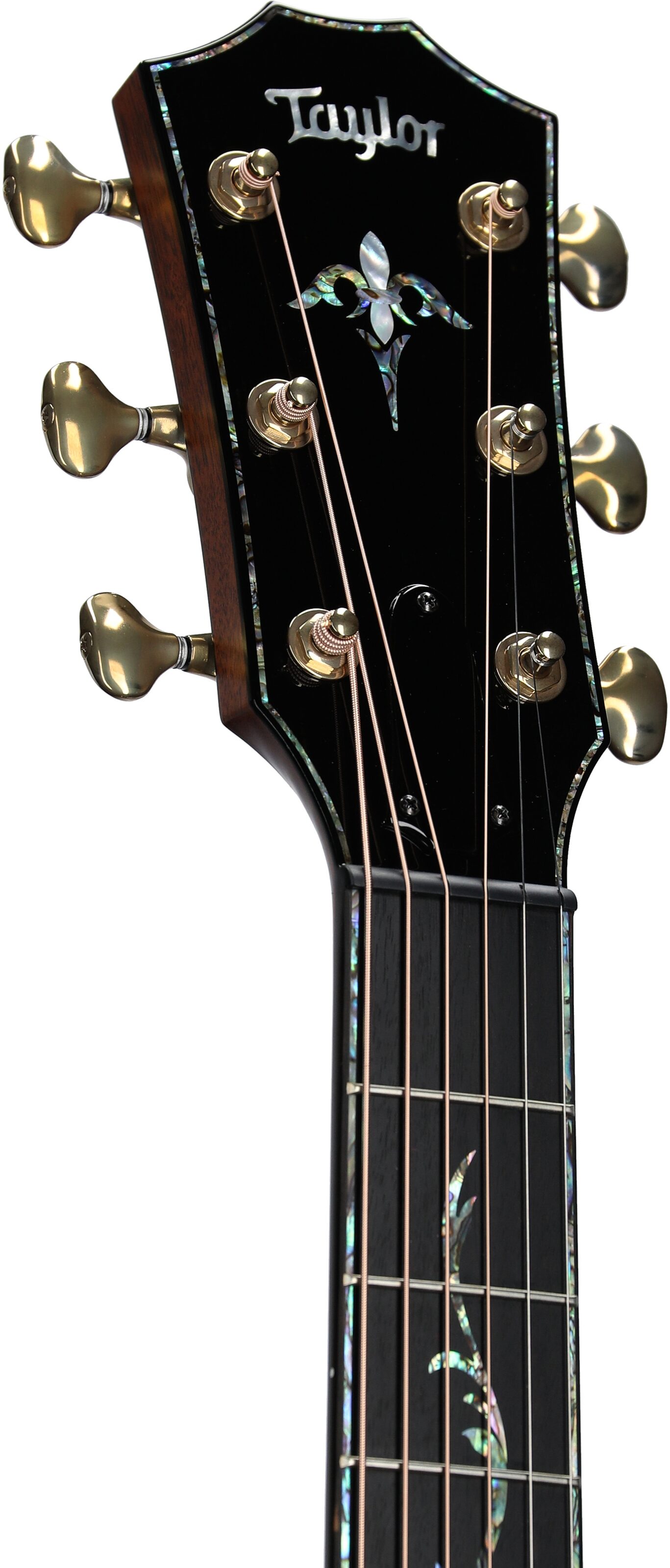 Taylor PS14ce V-Class Grand Auditorium Acoustic-Electric Guitar (with Case) 4 Taylor PS14ce V-Class Grand Auditorium Acoustic-Electric Guitar (with Case)