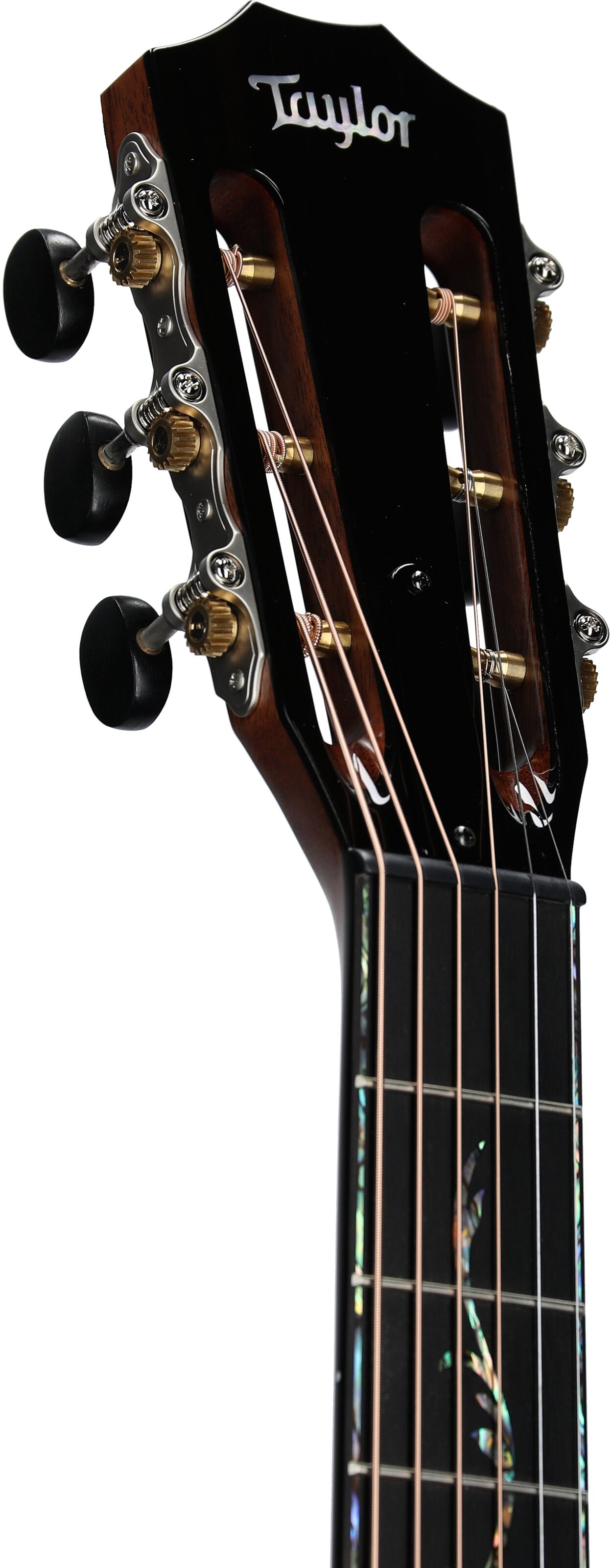 Taylor PS12ce 12-Fret V-Class Acoustic-Electric Guitar (with Case) 4 Taylor PS12ce 12-Fret V-Class Acoustic-Electric Guitar (with Case)