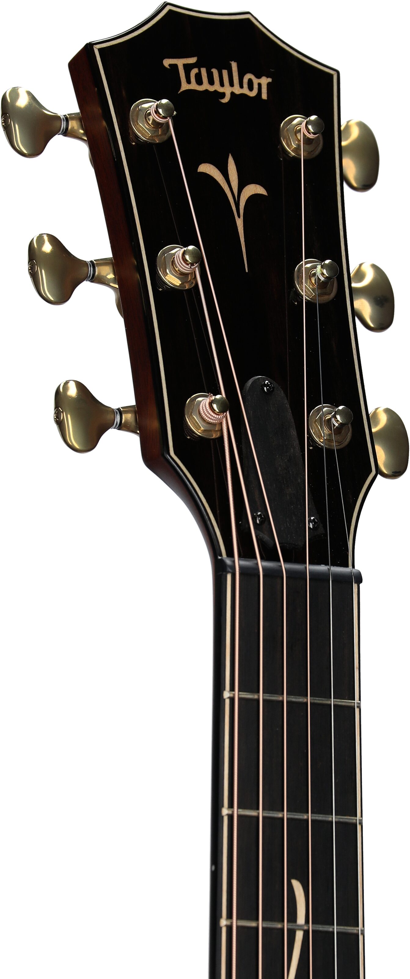 Taylor K22ce Grand Concert Acoustic-Electric Guitar (with Case) 4 Taylor K22ce Grand Concert Acoustic-Electric Guitar (with Case)