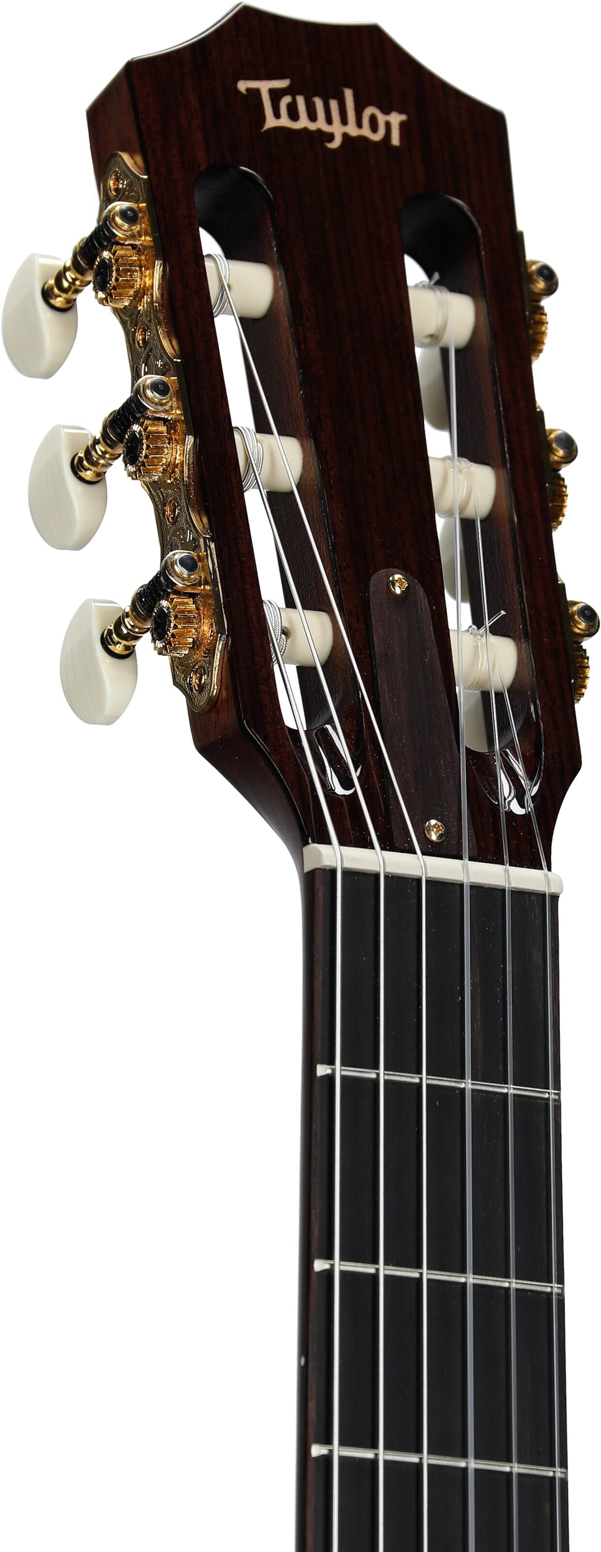 Taylor Jason Mraz Signature Model Grand Concert Classical Acoustic-Electric Guitar (with Case) 4 Taylor Jason Mraz Signature Model Grand Concert Classical Acoustic-Electric Guitar (with Case)