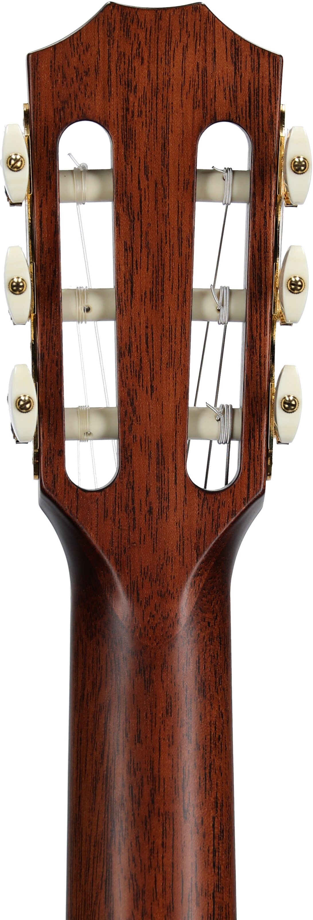 Taylor Jason Mraz Signature Model Grand Concert Classical Acoustic-Electric Guitar (with Case) 8 Taylor Jason Mraz Signature Model Grand Concert Classical Acoustic-Electric Guitar (with Case)