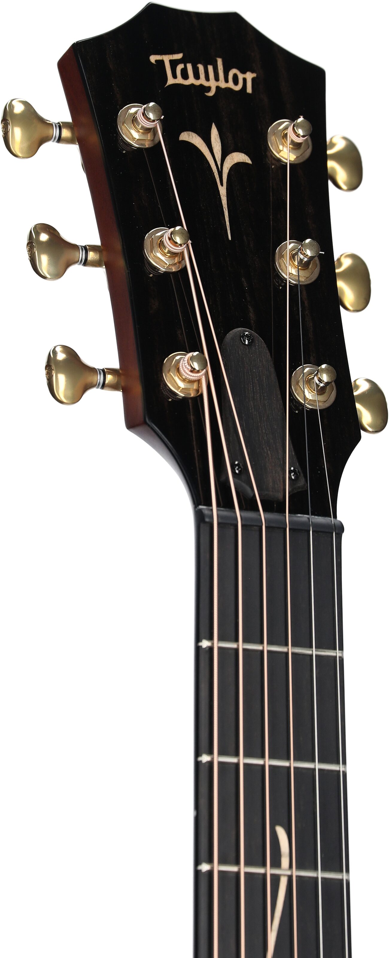 Taylor GT K21e Acoustic-Electric Guitar (with Case) 4 Taylor GT K21e Acoustic-Electric Guitar (with Case)