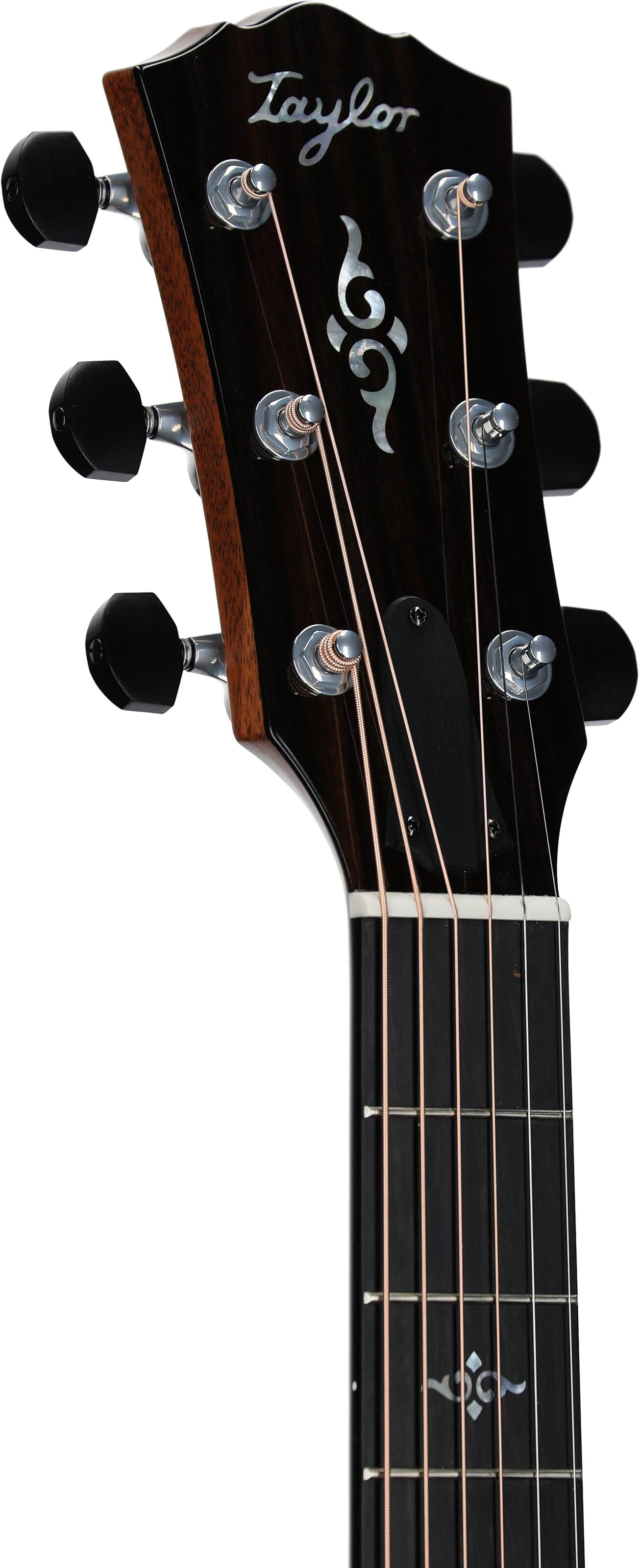 Taylor Gold Label 814e Koa Acoustic-Electric Guitar (with Case) 8 Taylor Gold Label 814e Koa Acoustic-Electric Guitar (with Case)