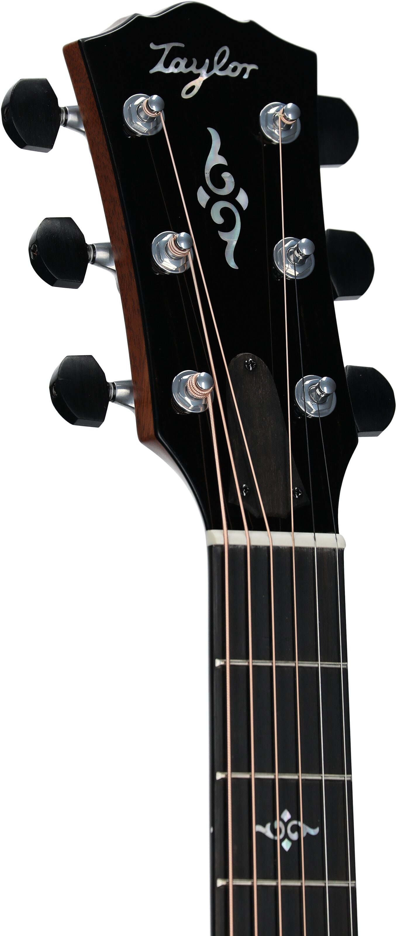 Taylor Gold Label 814e Super Auditorium Acoustic-Electric Guitar 7 Taylor Gold Label 814e Super Auditorium Acoustic-Electric Guitar