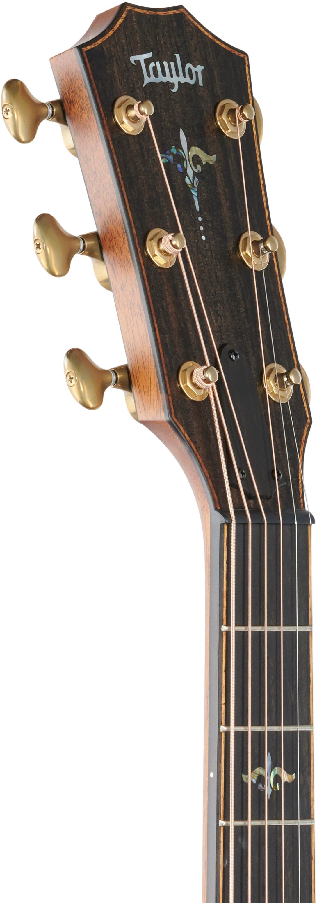 Taylor Builder's Edition 912ce Grand Concert Cutaway Acoustic-Electric Guitar 5 Taylor Builder's Edition 912ce Grand Concert Cutaway Acoustic-Electric Guitar