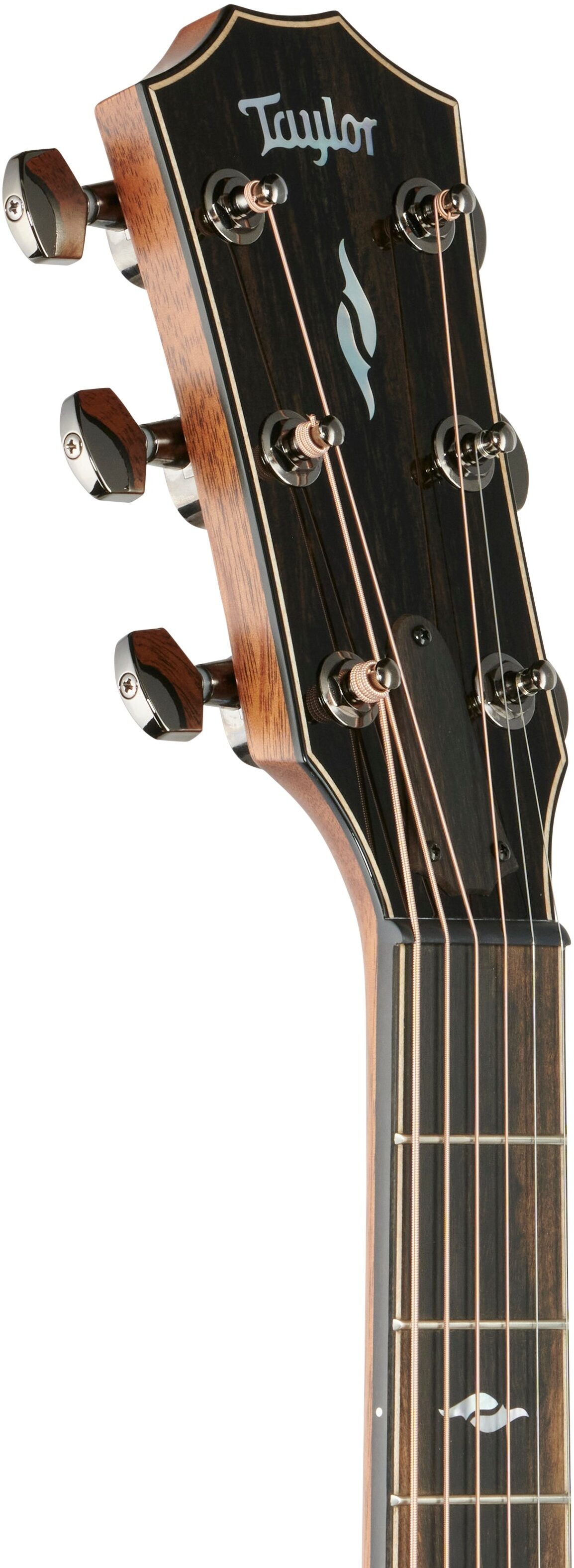 Taylor 814ceV Grand Auditorium Acoustic-Electric Guitar (with Case) 4 Taylor 814ceV Grand Auditorium Acoustic-Electric Guitar (with Case)