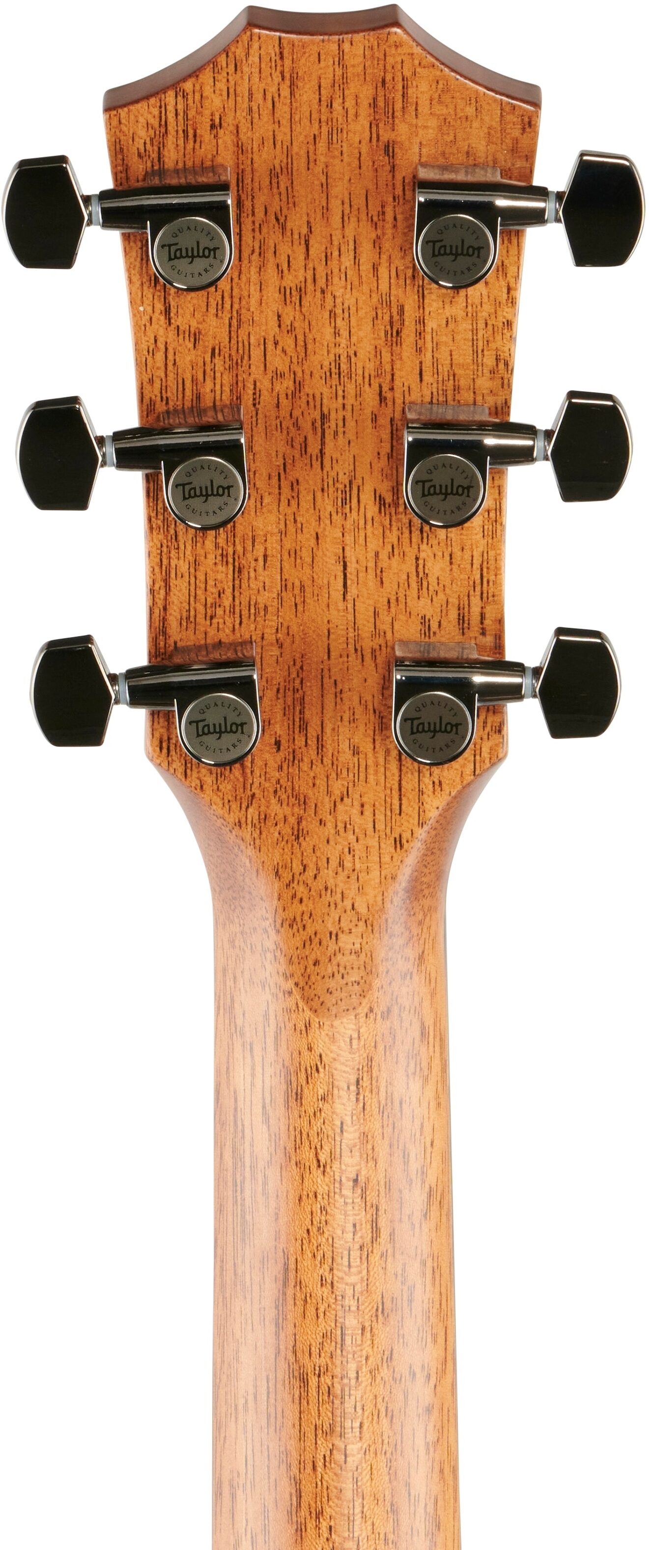 Taylor 814ceV Grand Auditorium Acoustic-Electric Guitar (with Case) 8 Taylor 814ceV Grand Auditorium Acoustic-Electric Guitar (with Case)