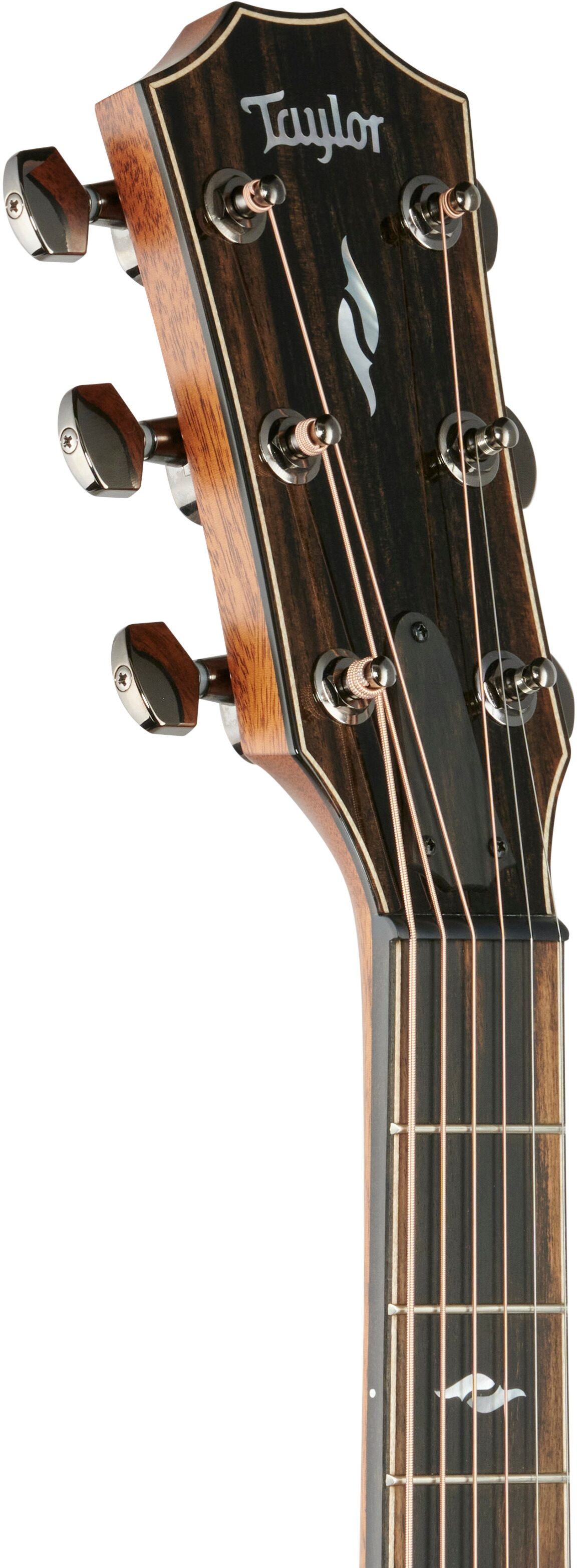 Taylor 812ceV Grand Concert Acoustic-Electric Guitar (with Case) 4 Taylor 812ceV Grand Concert Acoustic-Electric Guitar (with Case)