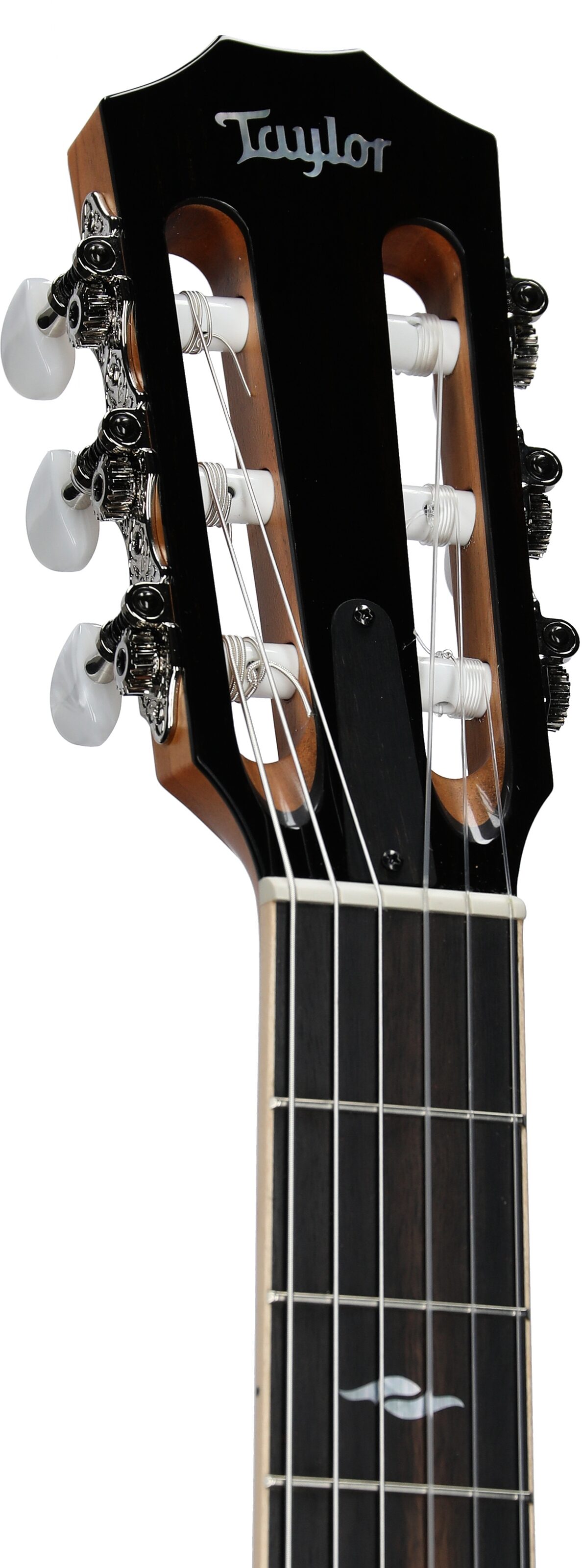 Taylor 812ce-N Grand Concert Classical Acoustic-Electric Guitar 4 Taylor 812ce-N Grand Concert Classical Acoustic-Electric Guitar
