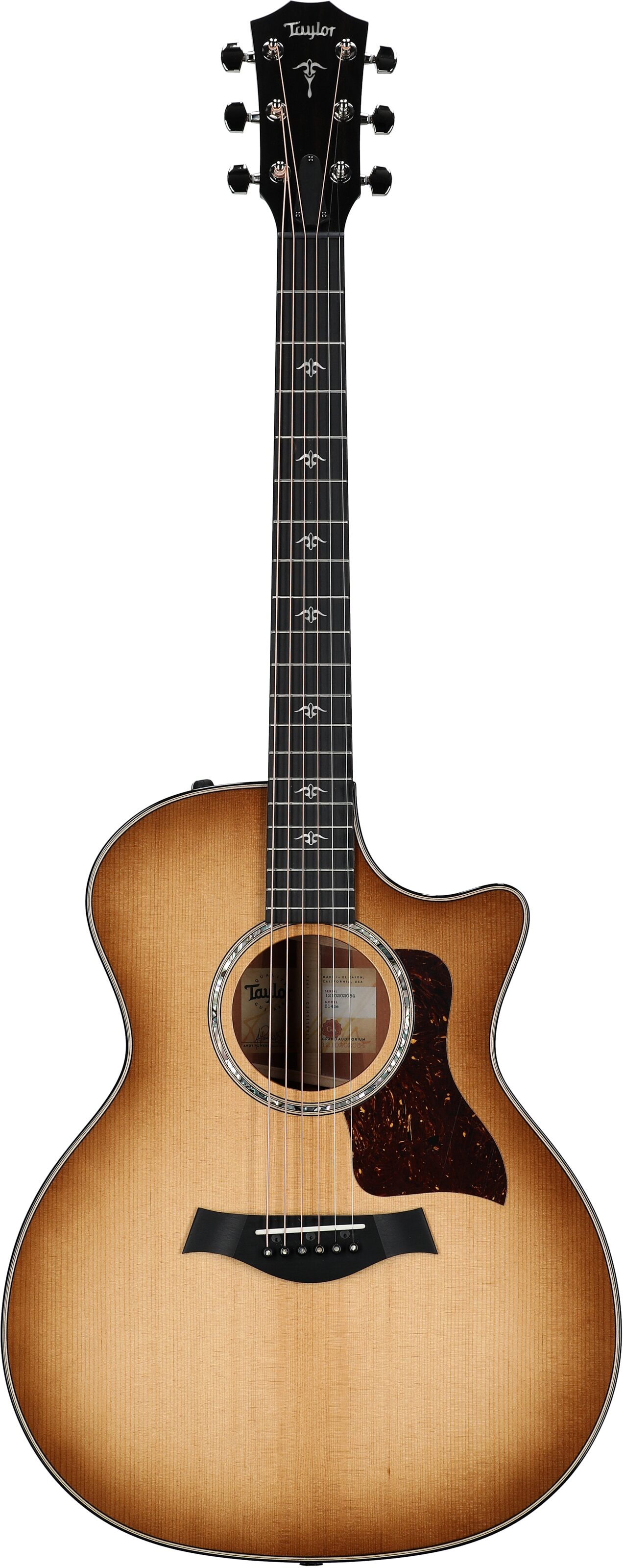 Taylor 514ce Grand Auditorium Acoustic-Electric Guitar (with Case) 2 Taylor 514ce Grand Auditorium Acoustic-Electric Guitar (with Case)