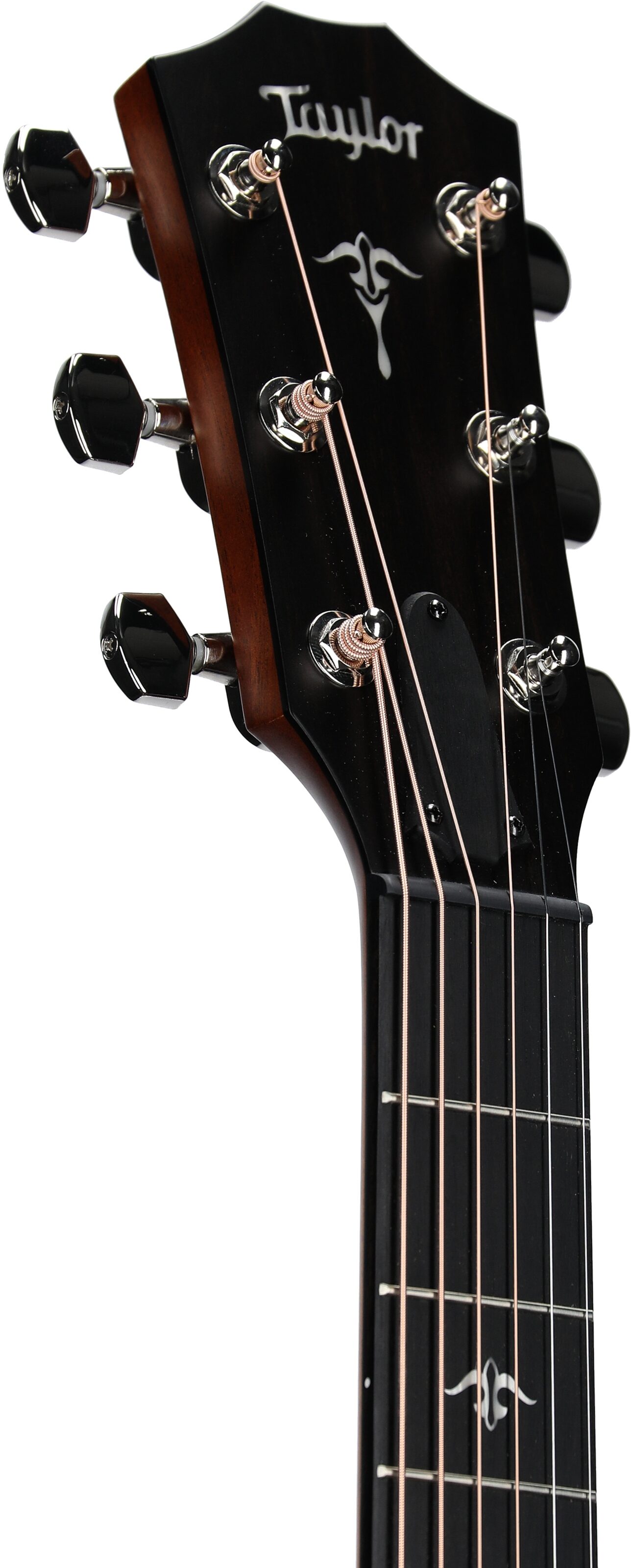 Taylor 514ce Grand Auditorium Acoustic-Electric Guitar (with Case) 4 Taylor 514ce Grand Auditorium Acoustic-Electric Guitar (with Case)