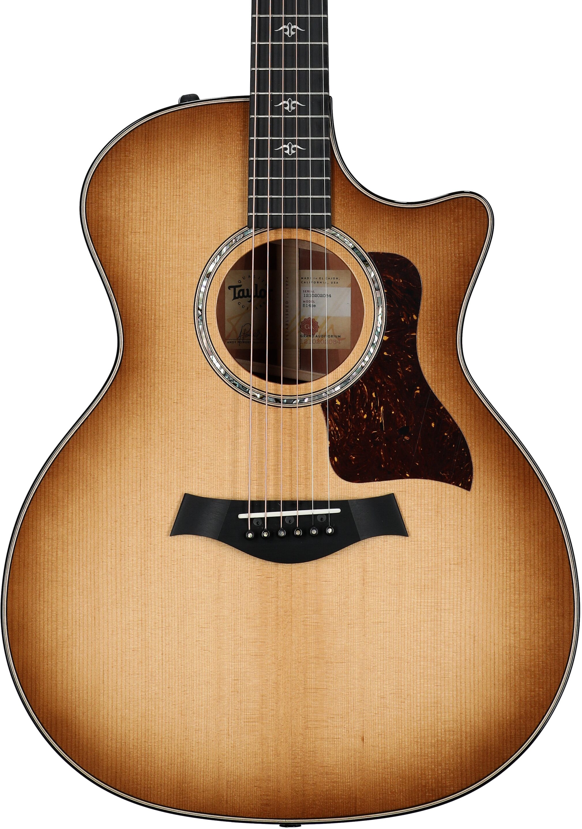 Taylor 514ce Grand Auditorium Acoustic-Electric Guitar (with Case) 5 Taylor 514ce Grand Auditorium Acoustic-Electric Guitar (with Case)