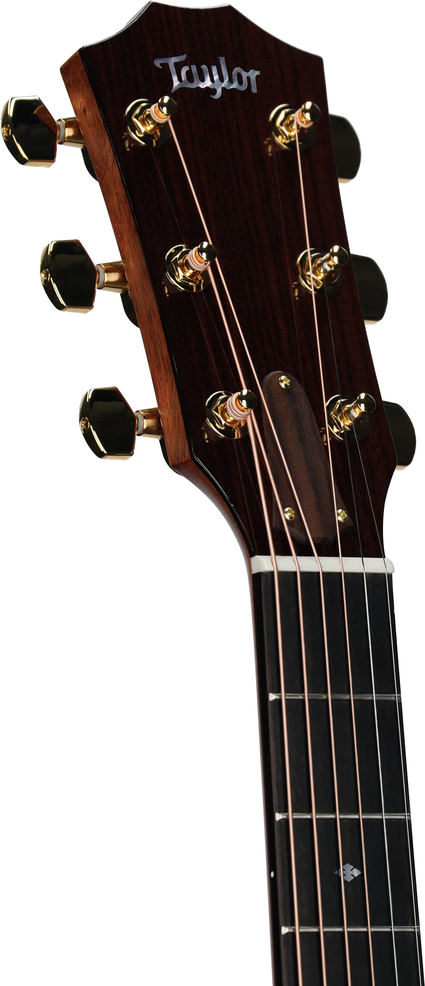 Taylor 514ce Legacy Grand Auditorium Acoustic-Electric Guitar (with Case) 4 Taylor 514ce Legacy Grand Auditorium Acoustic-Electric Guitar (with Case)